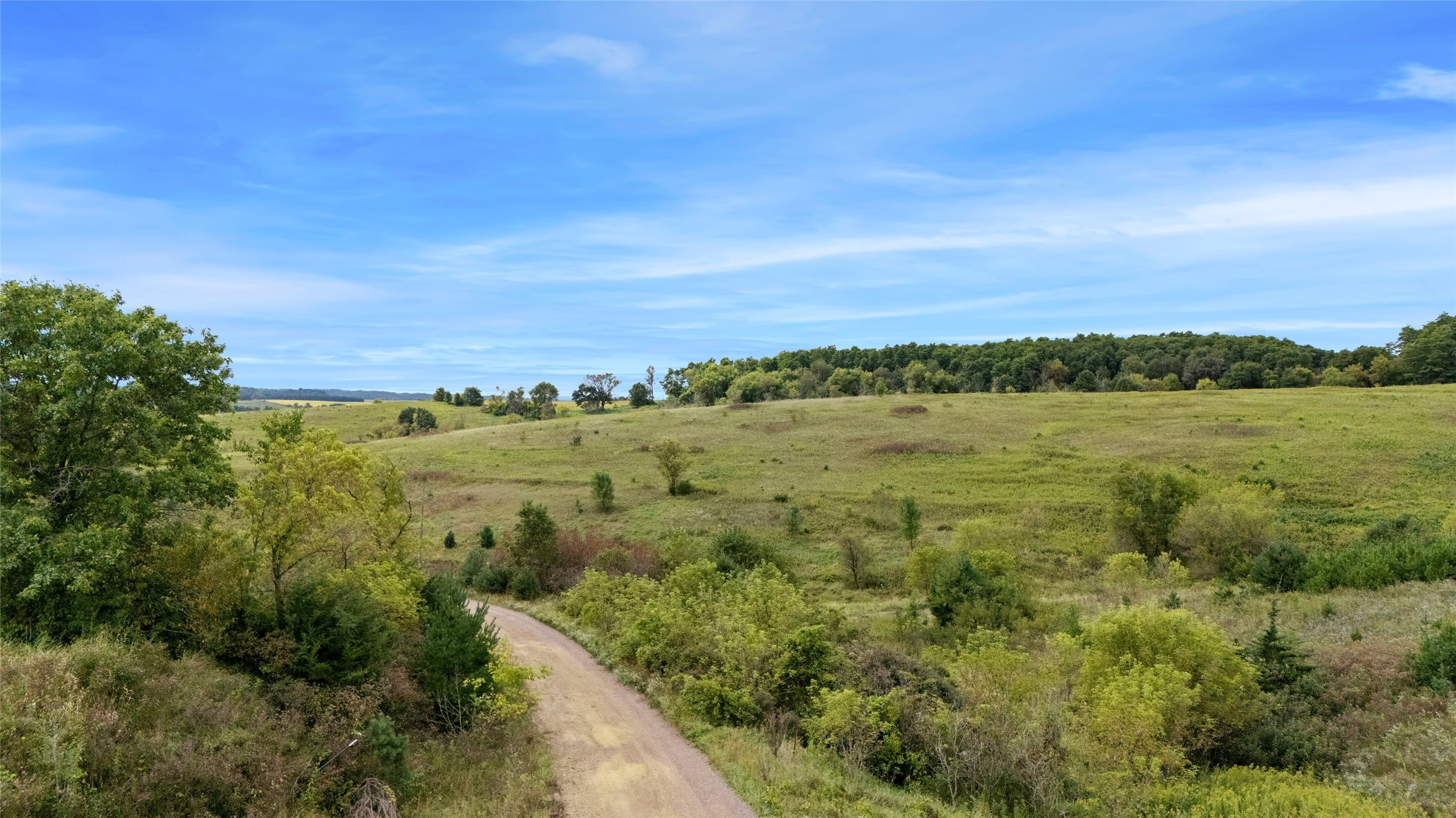 Osseo - Residential photo 5 of 49