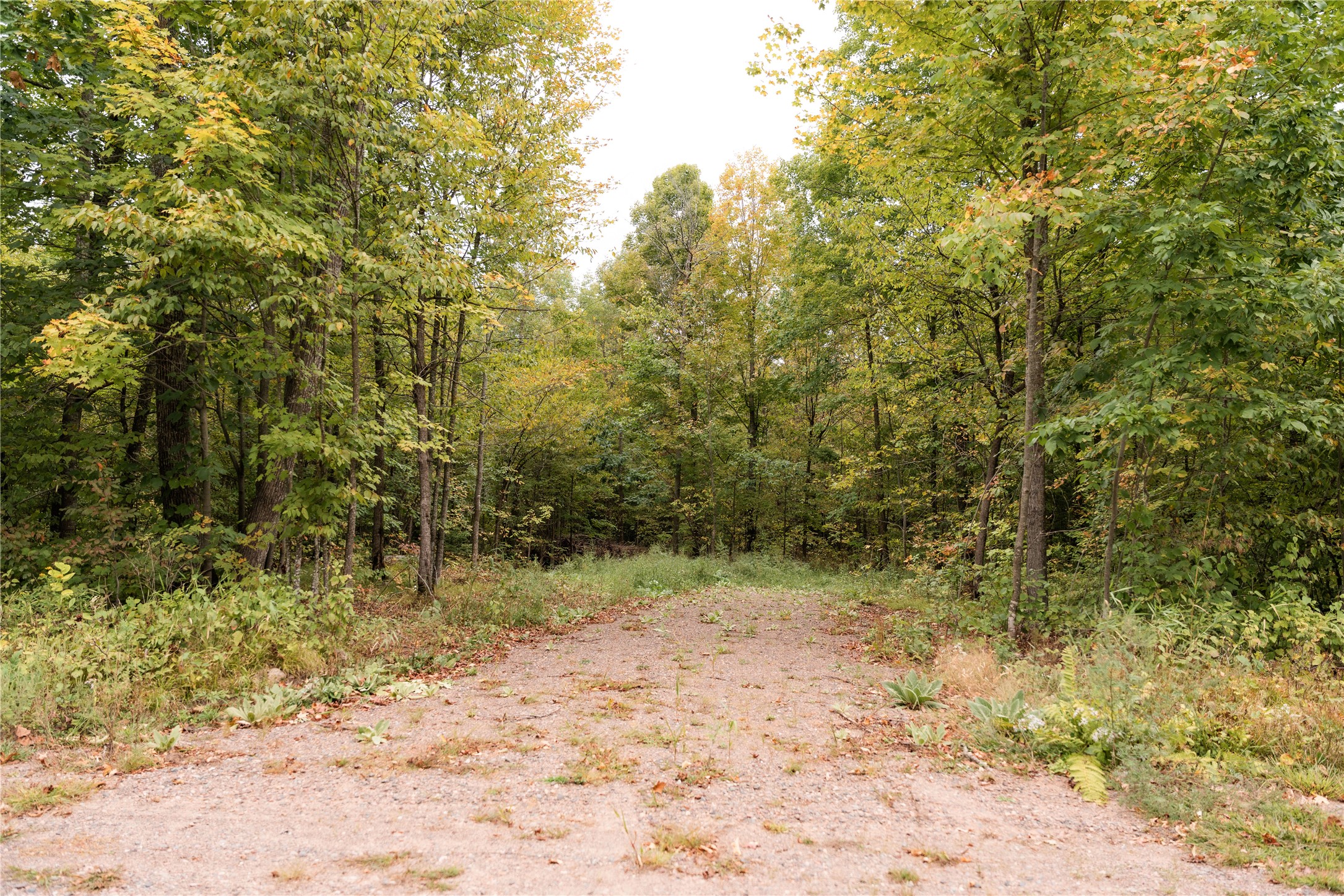 Property Photo #12