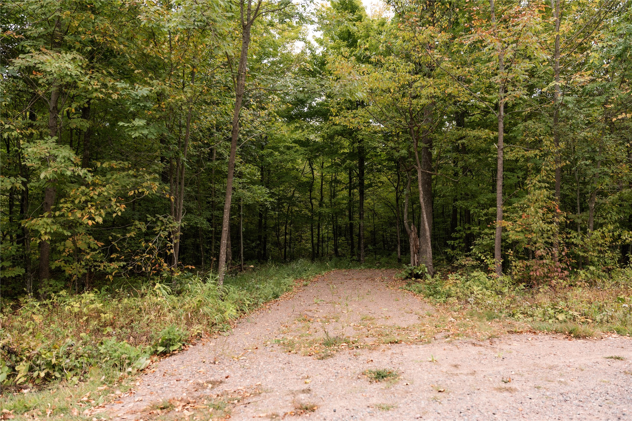 Property Photo #13