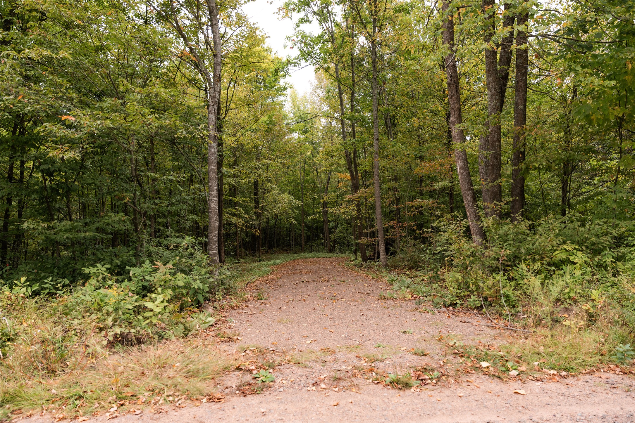 Property Photo #14
