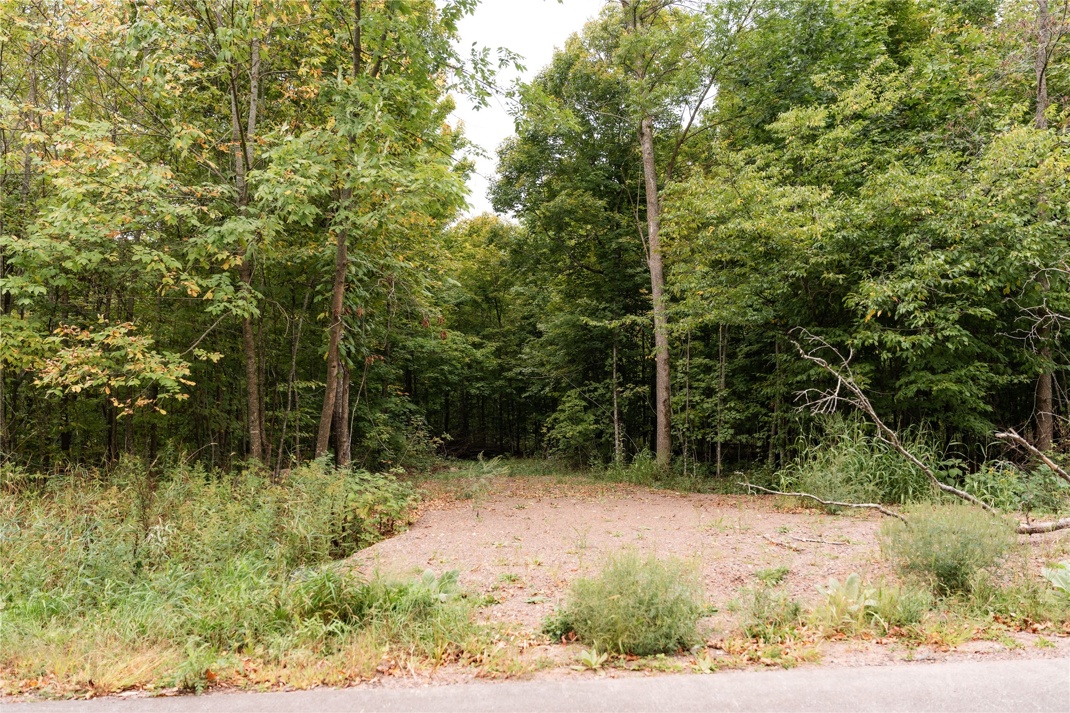 Property Photo #15