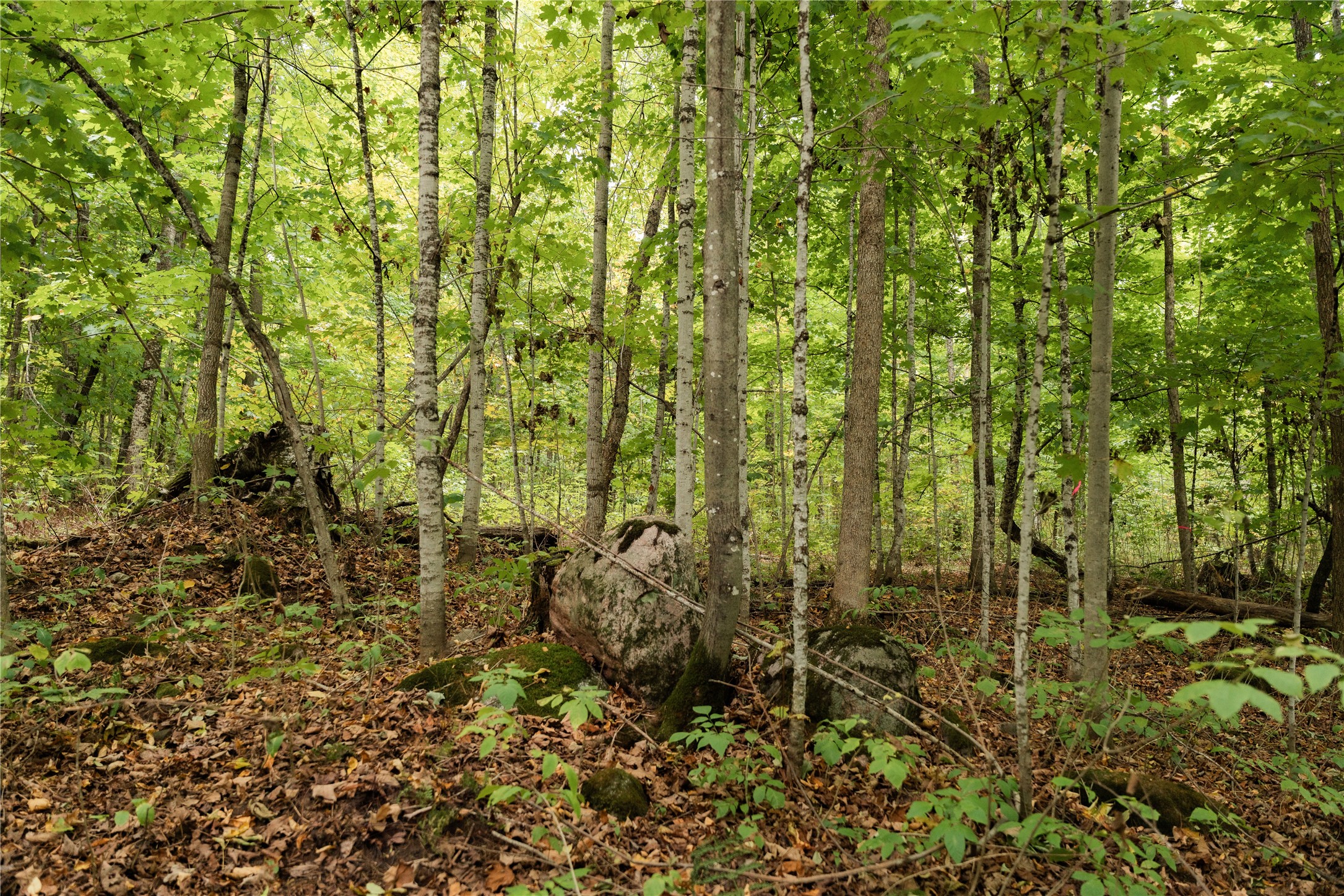 Property Photo #18