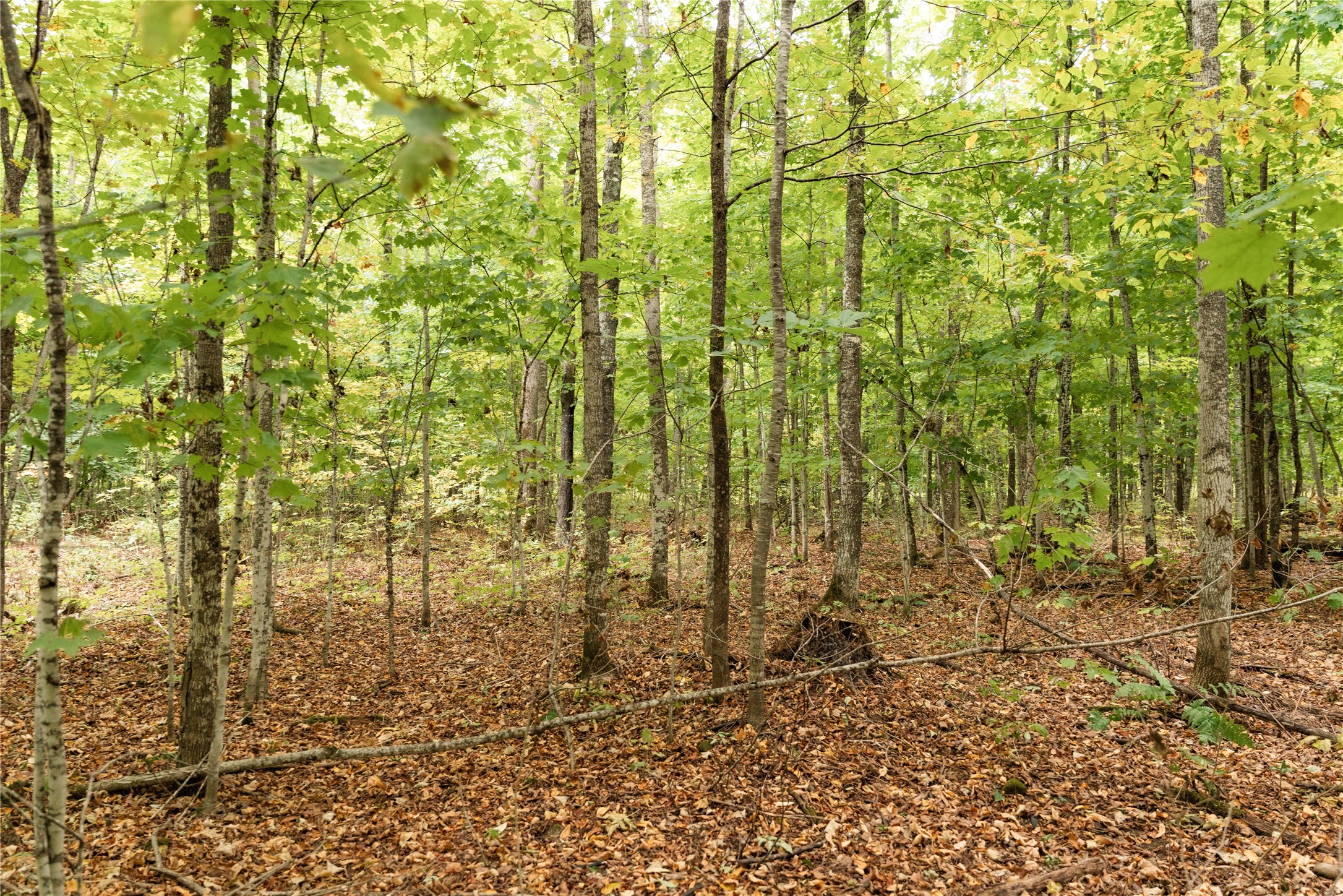 Property Photo #20