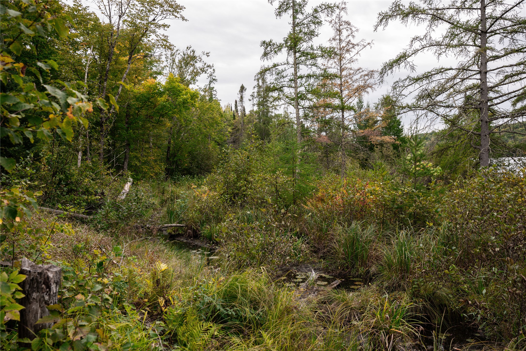 Property Photo #21