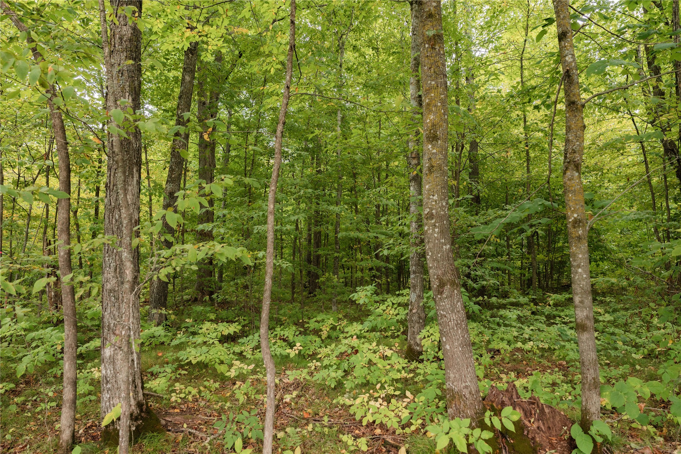 Property Photo #22