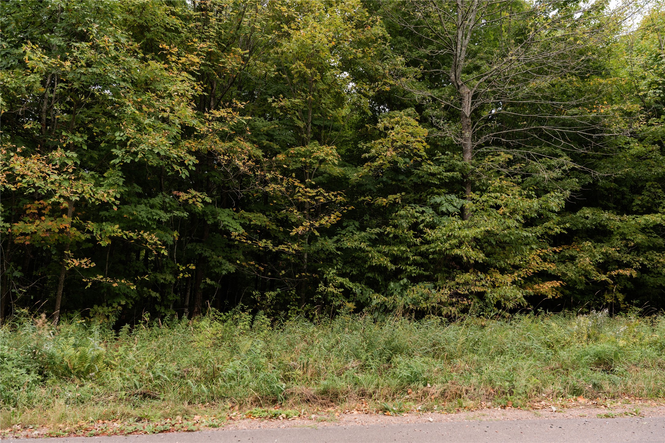 Property Photo #6