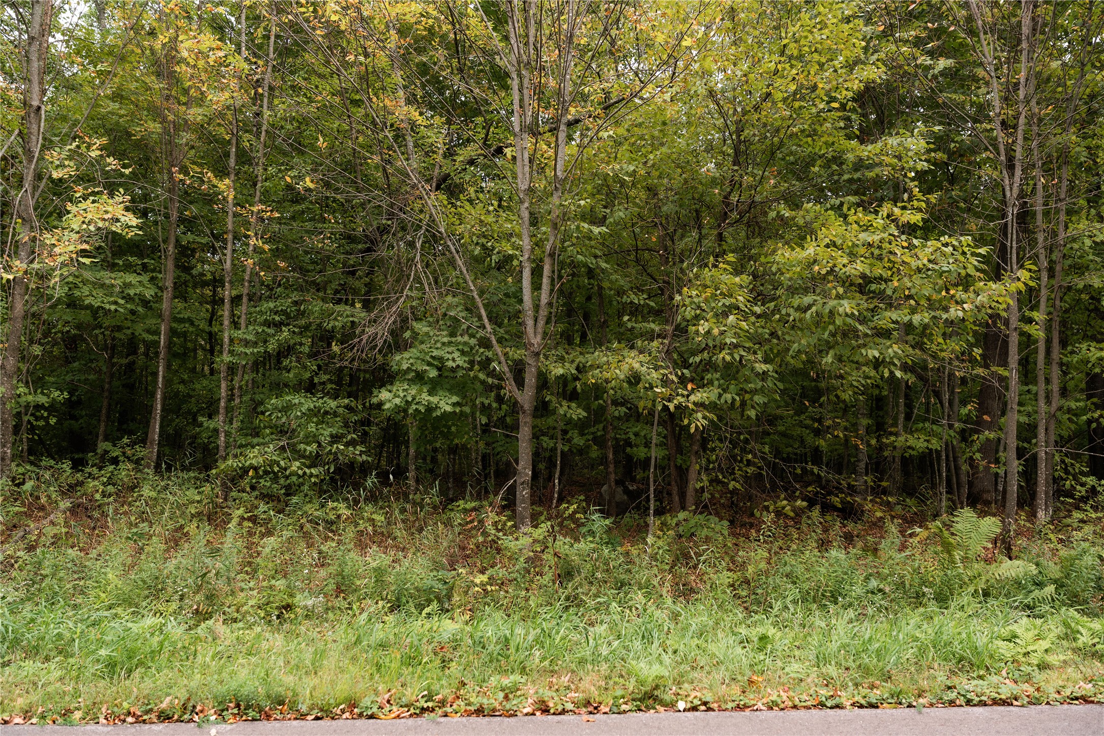 Property Photo #7