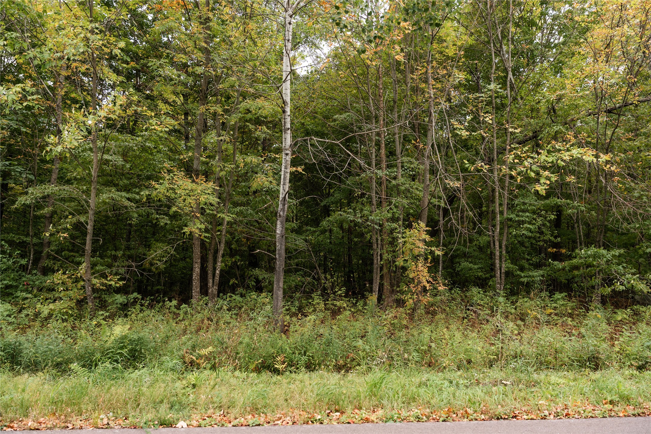 Property Photo #8