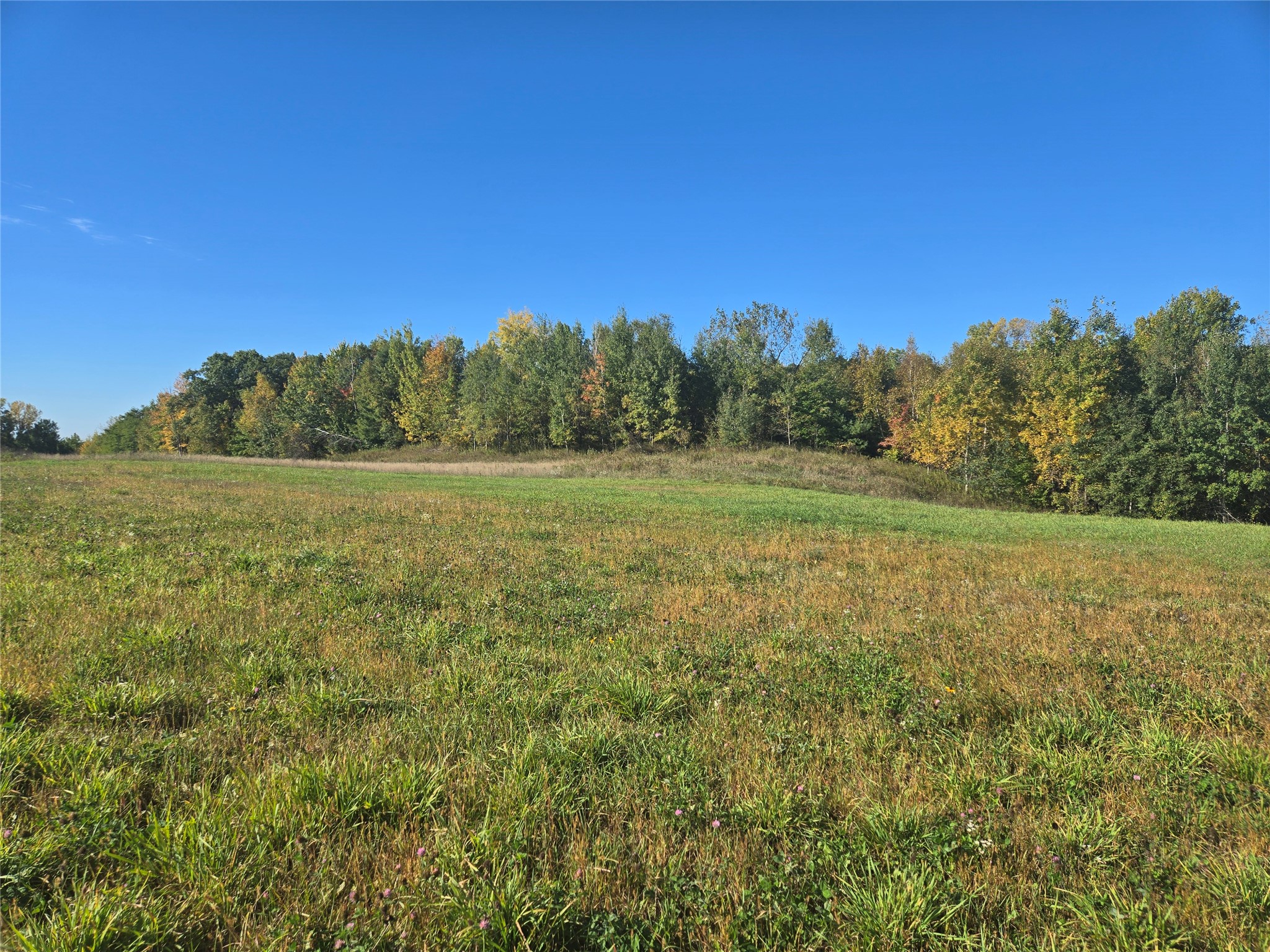 Chippewa Falls - Land photo 4 of 7