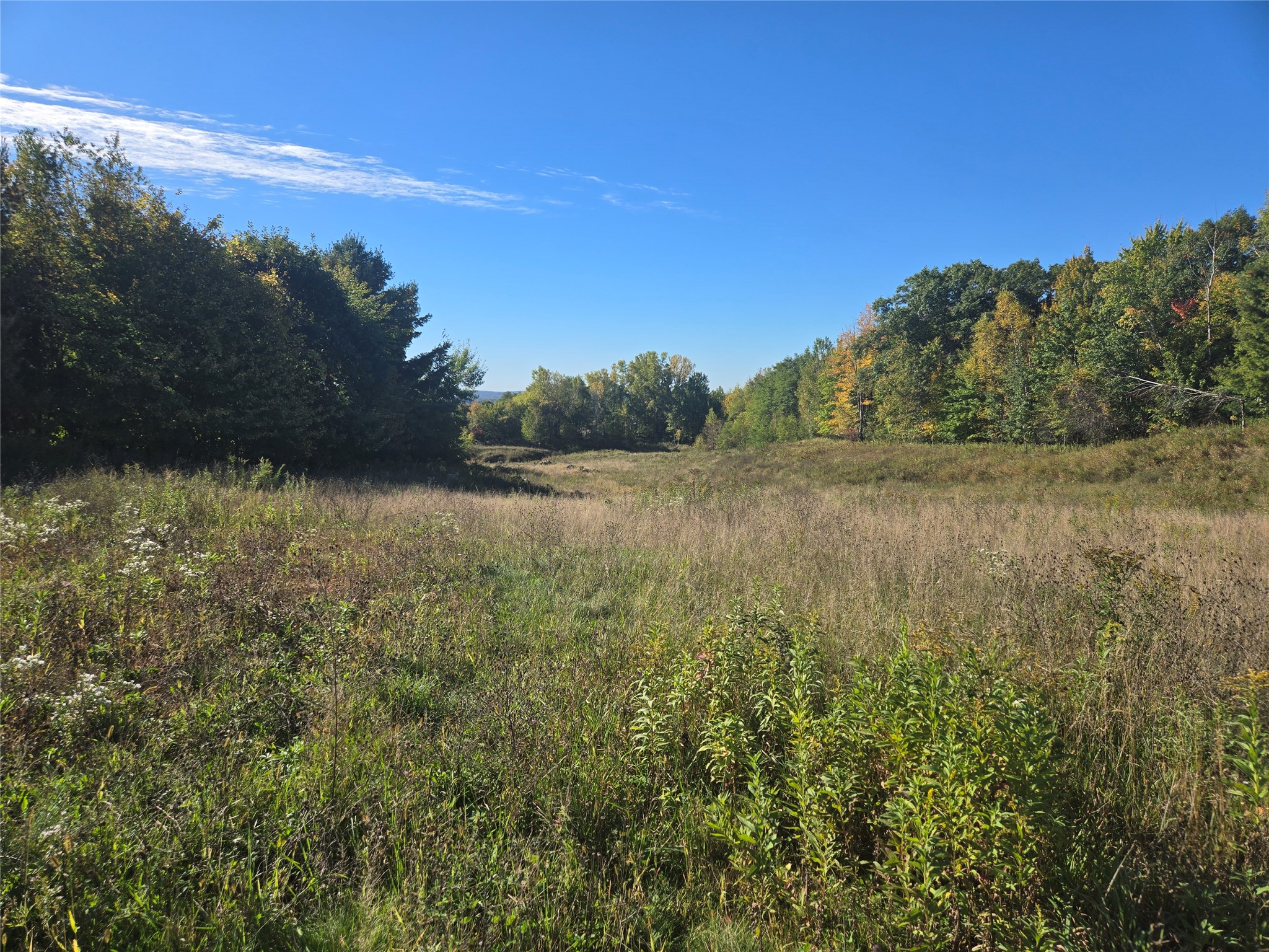 Chippewa Falls - Land photo 5 of 7