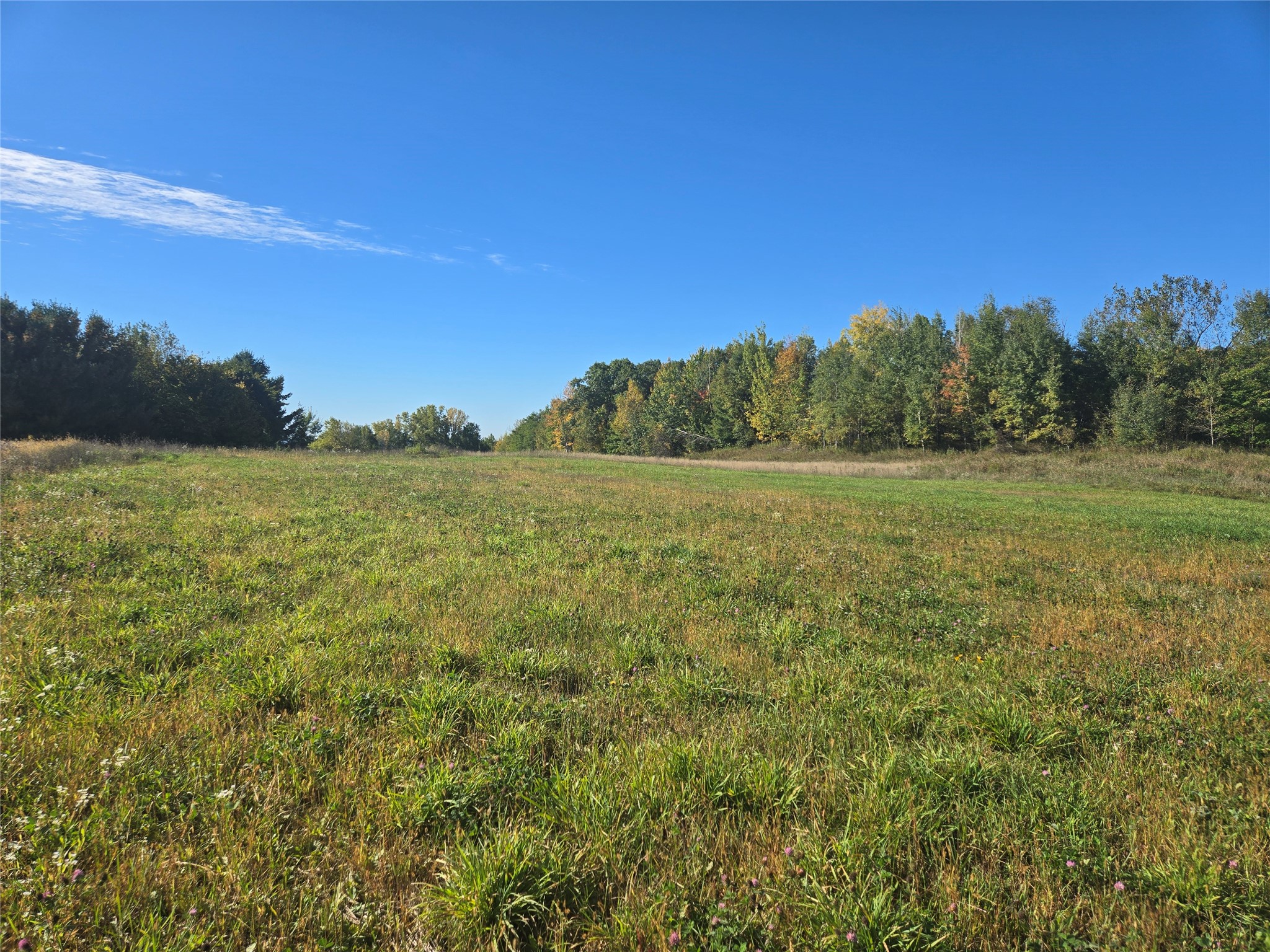 Chippewa Falls - Land photo 6 of 7