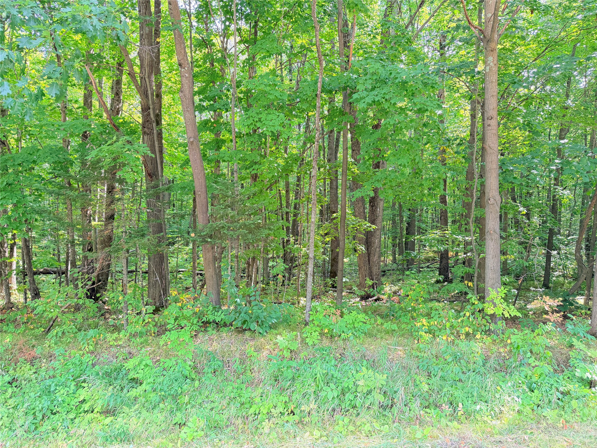 Property Photo #1