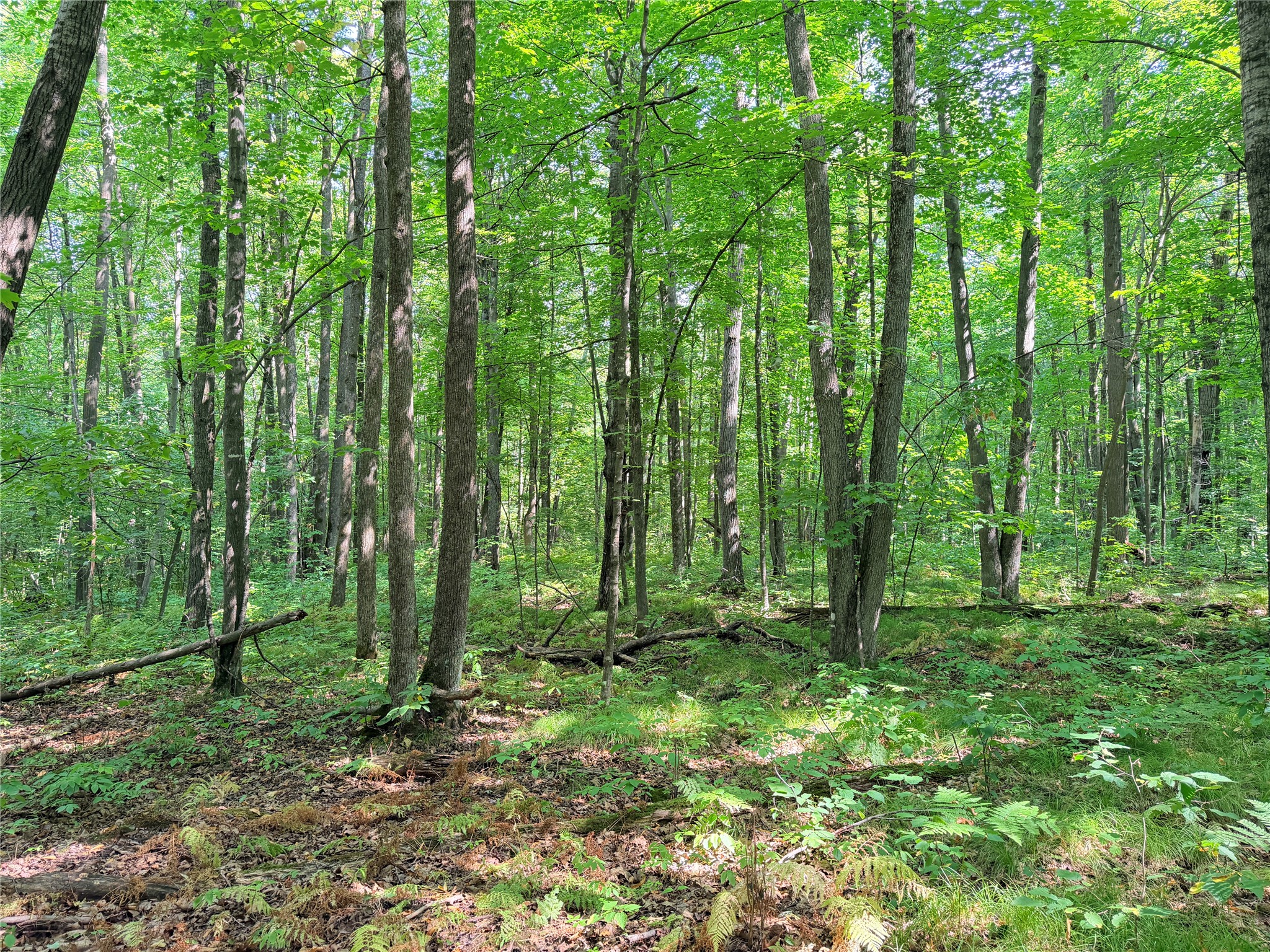Property Photo #11