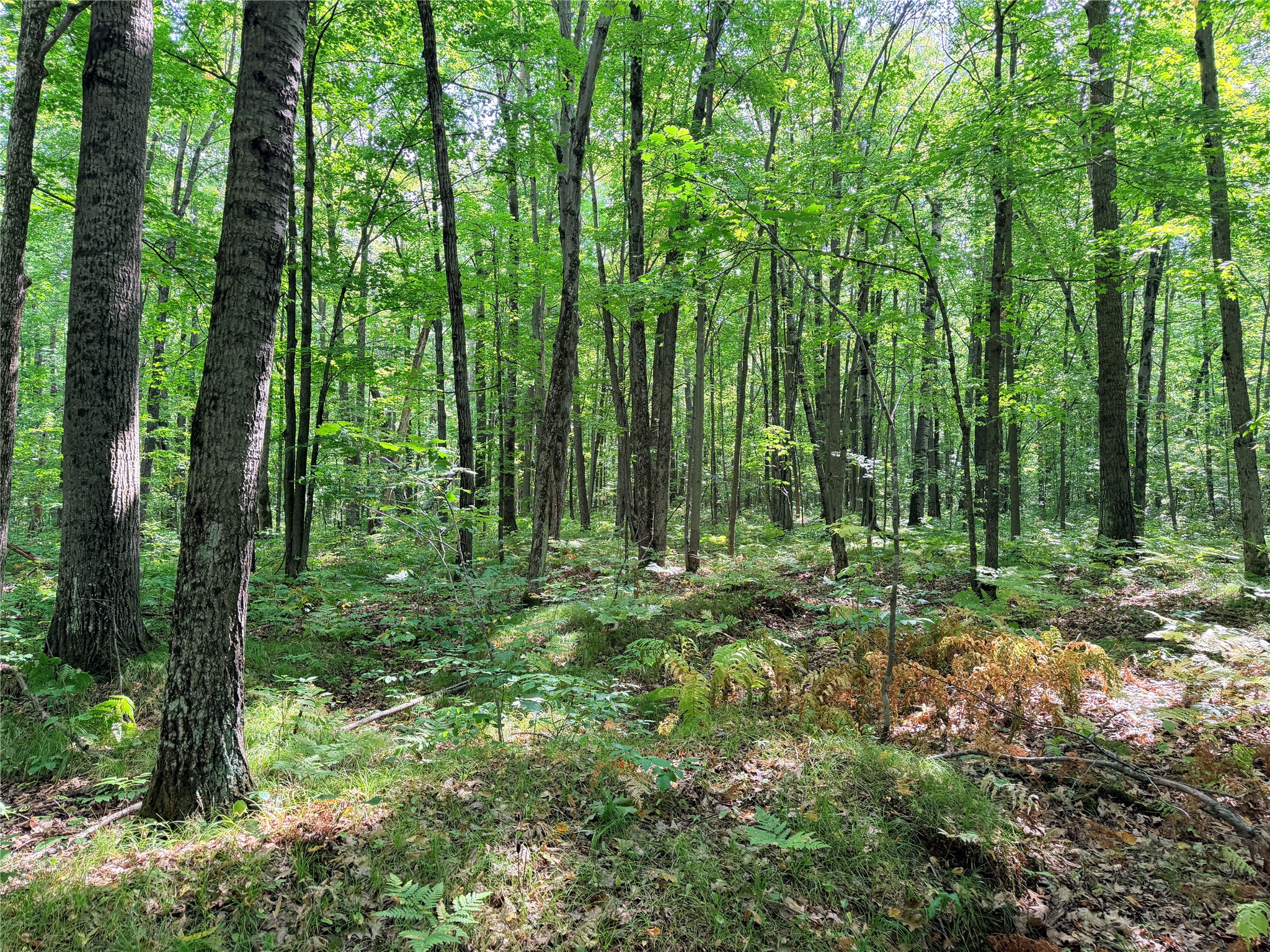 Property Photo #12