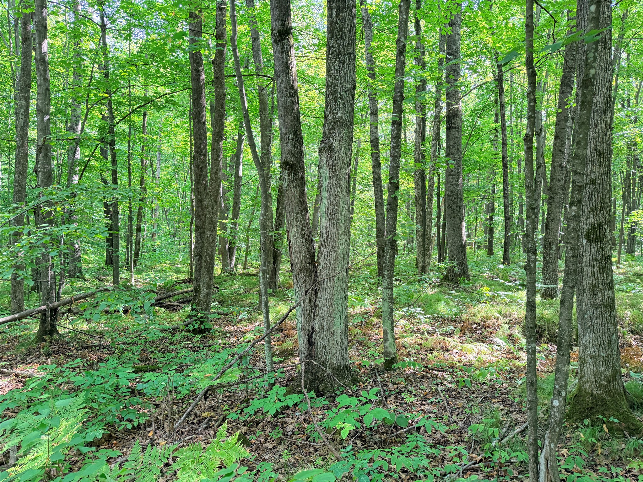 Property Photo #13