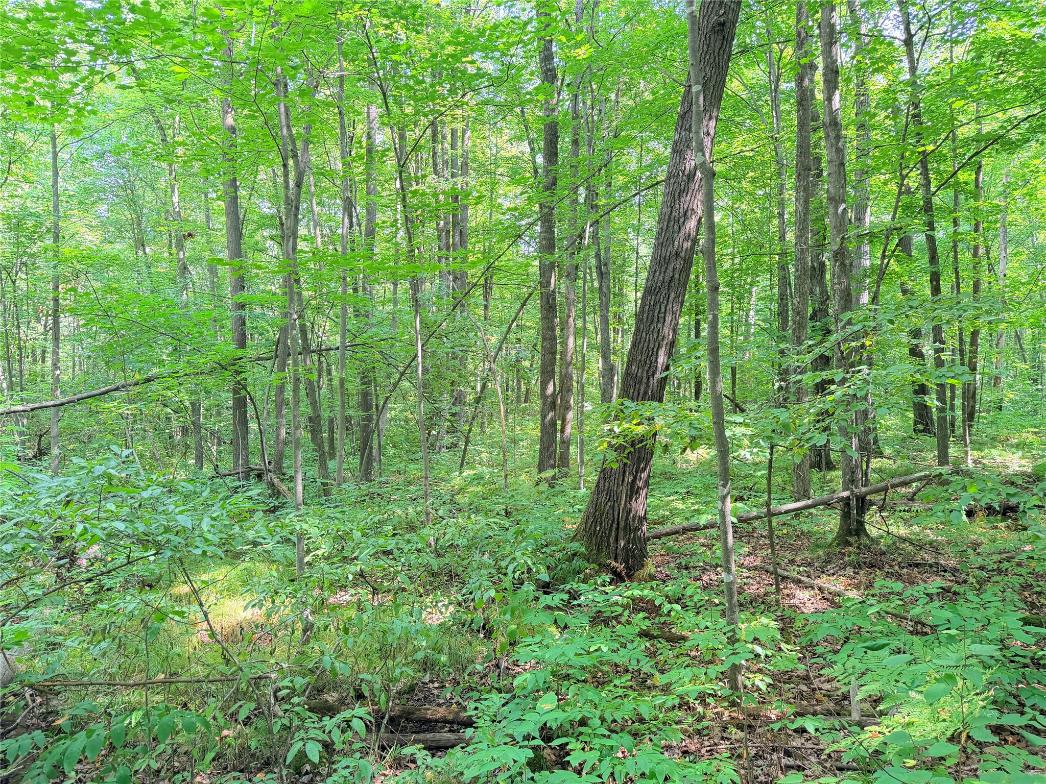 Property Photo #14
