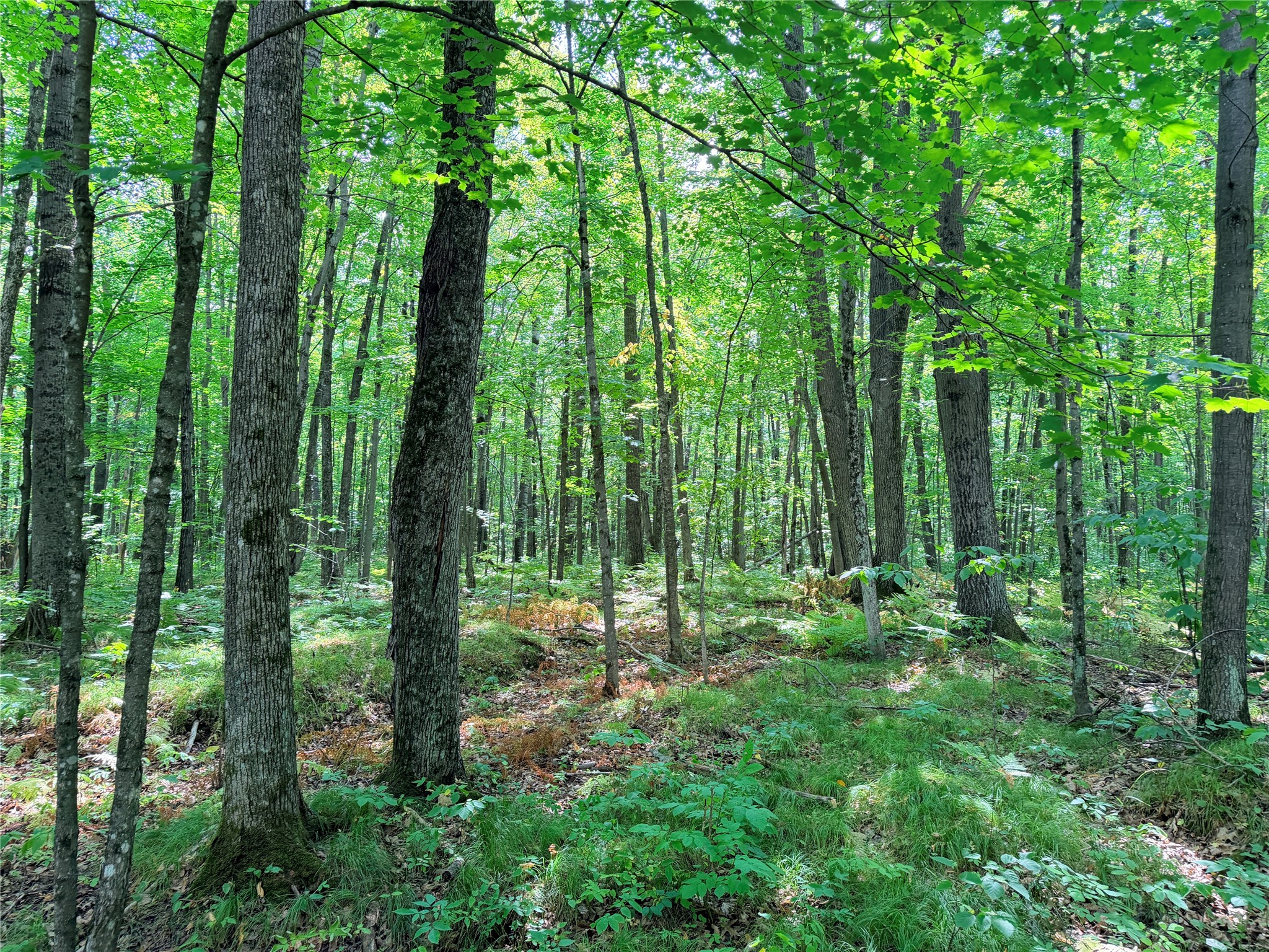 Property Photo #15