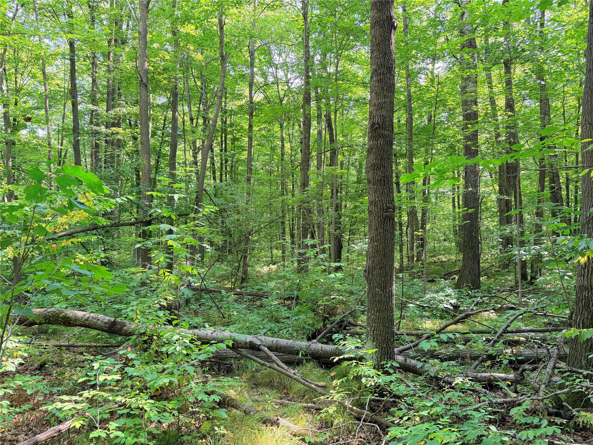 Property Photo #16