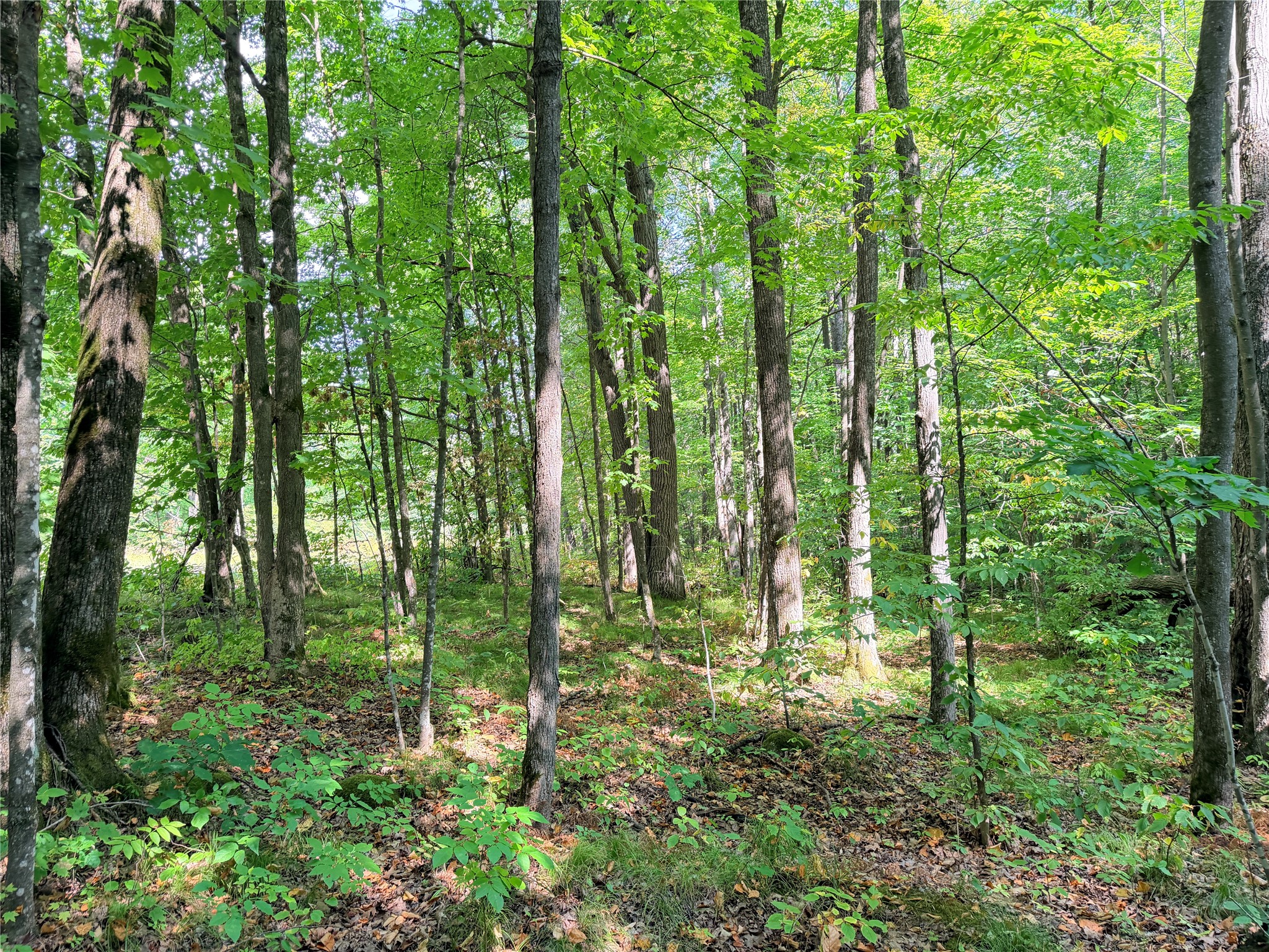 Property Photo #17
