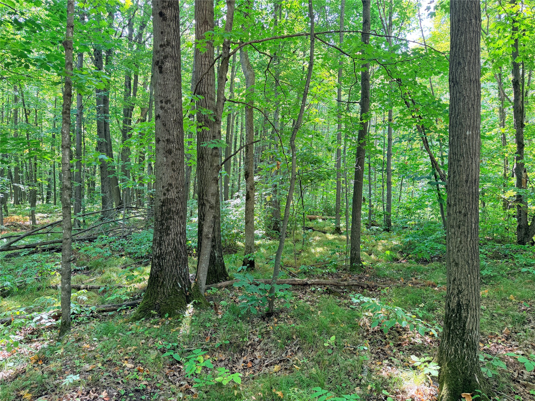 Property Photo #18