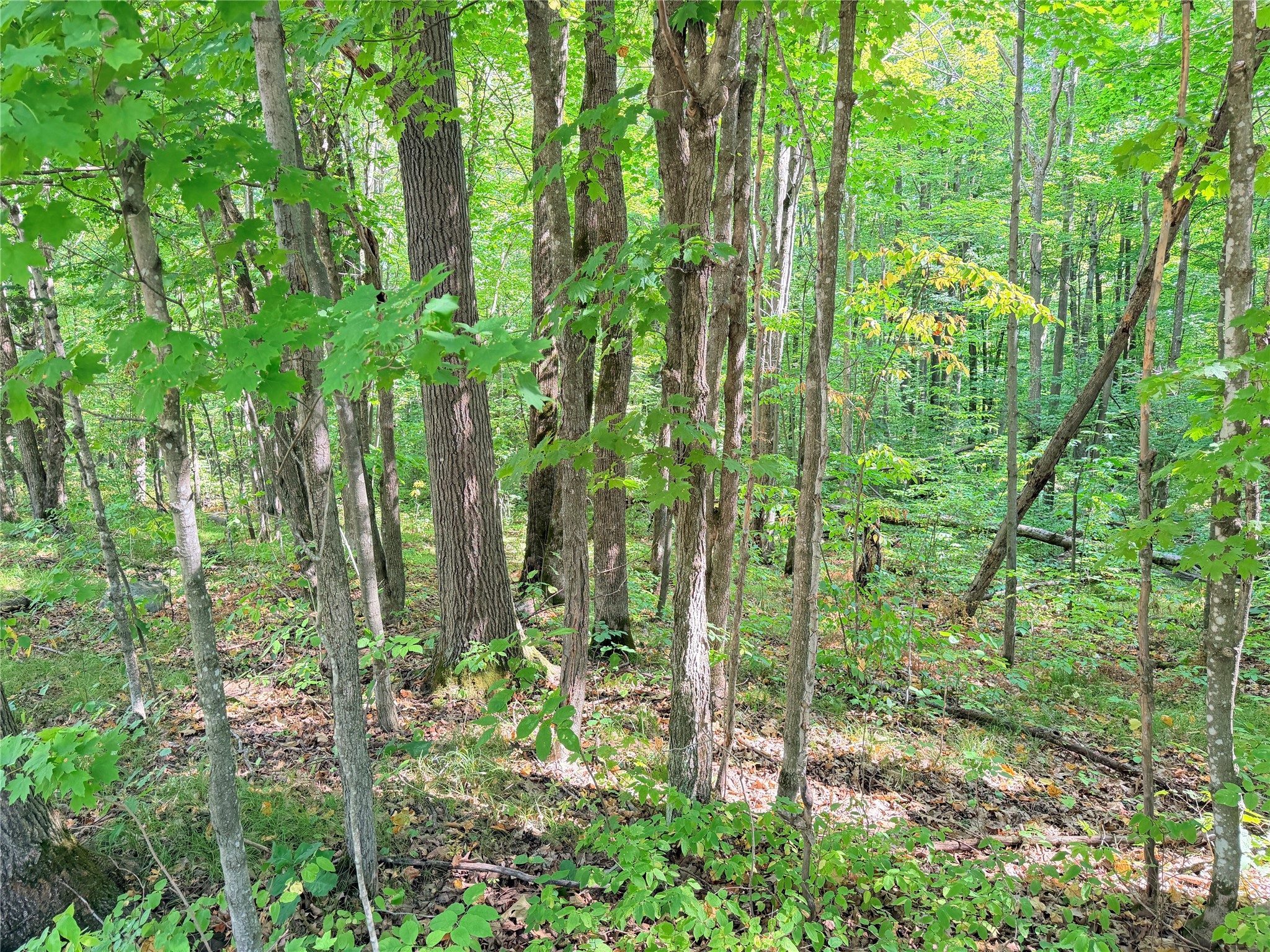 Property Photo #19