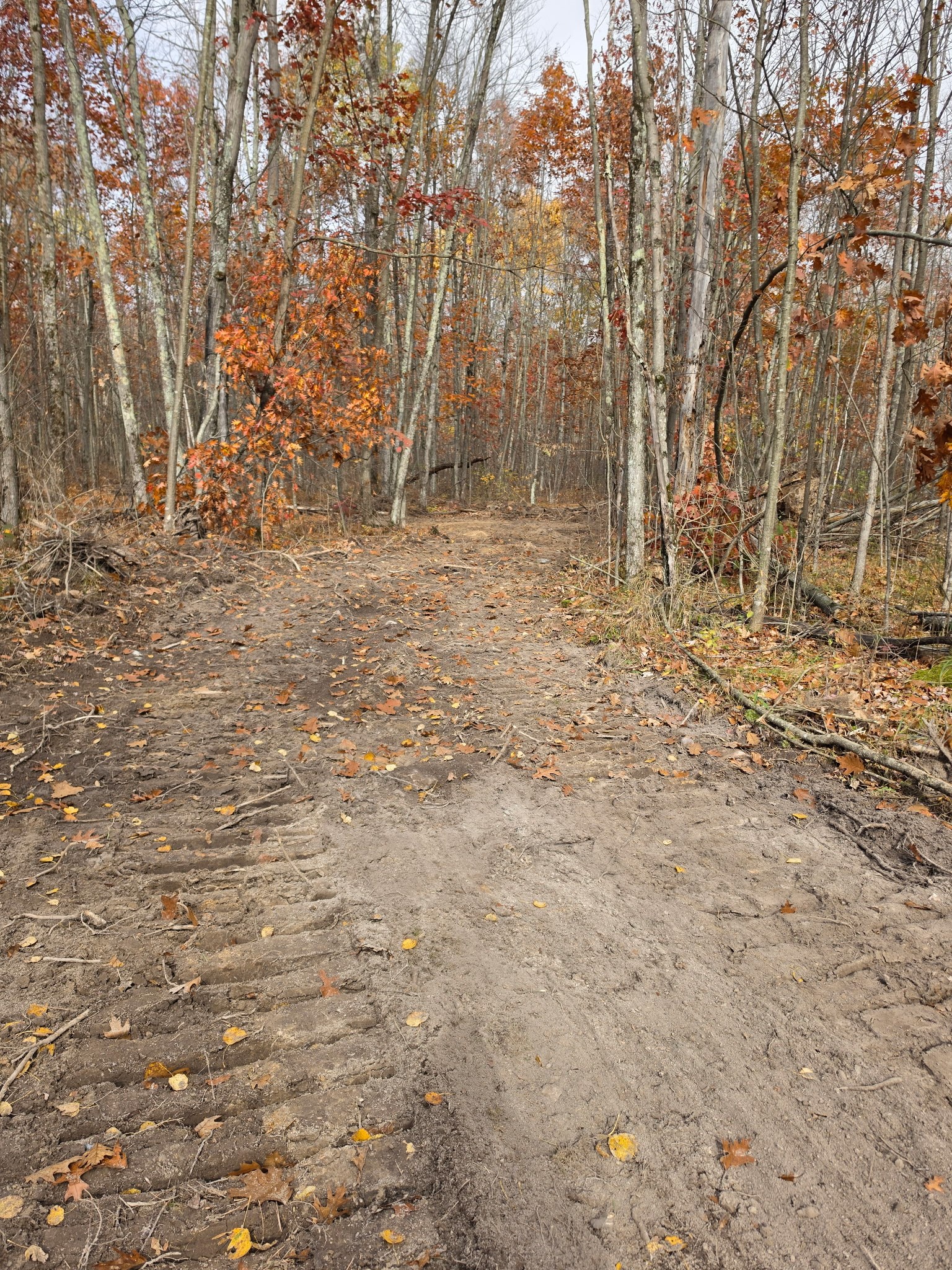 Property Photo #5