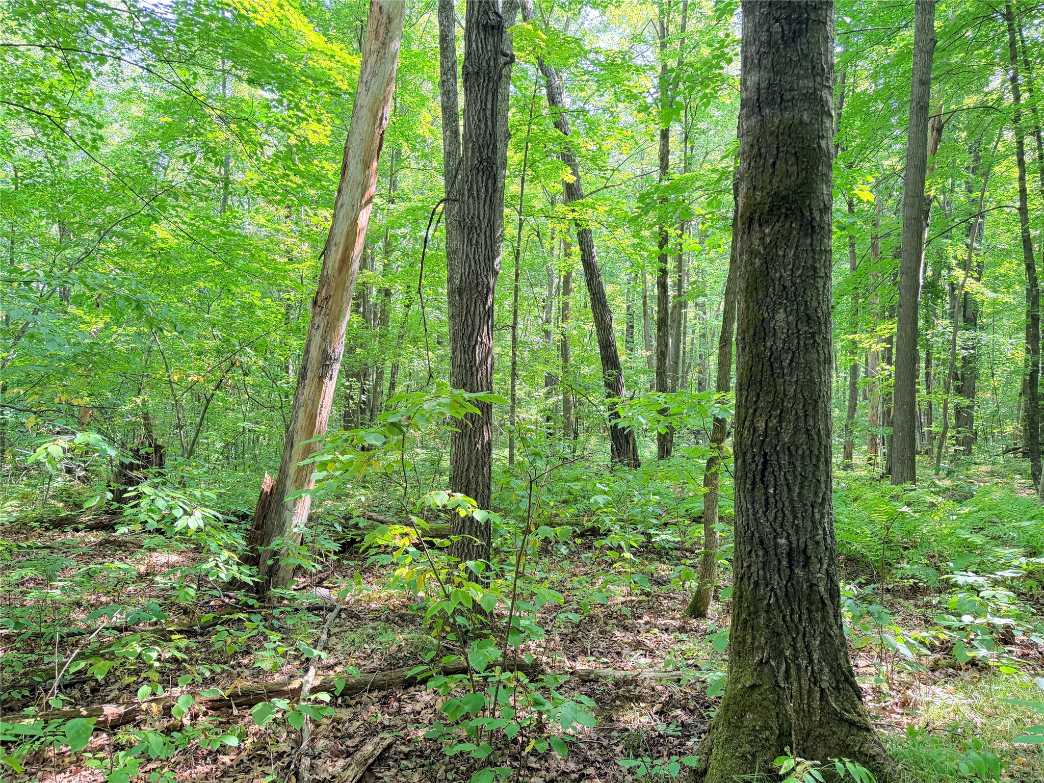 Property Photo #7