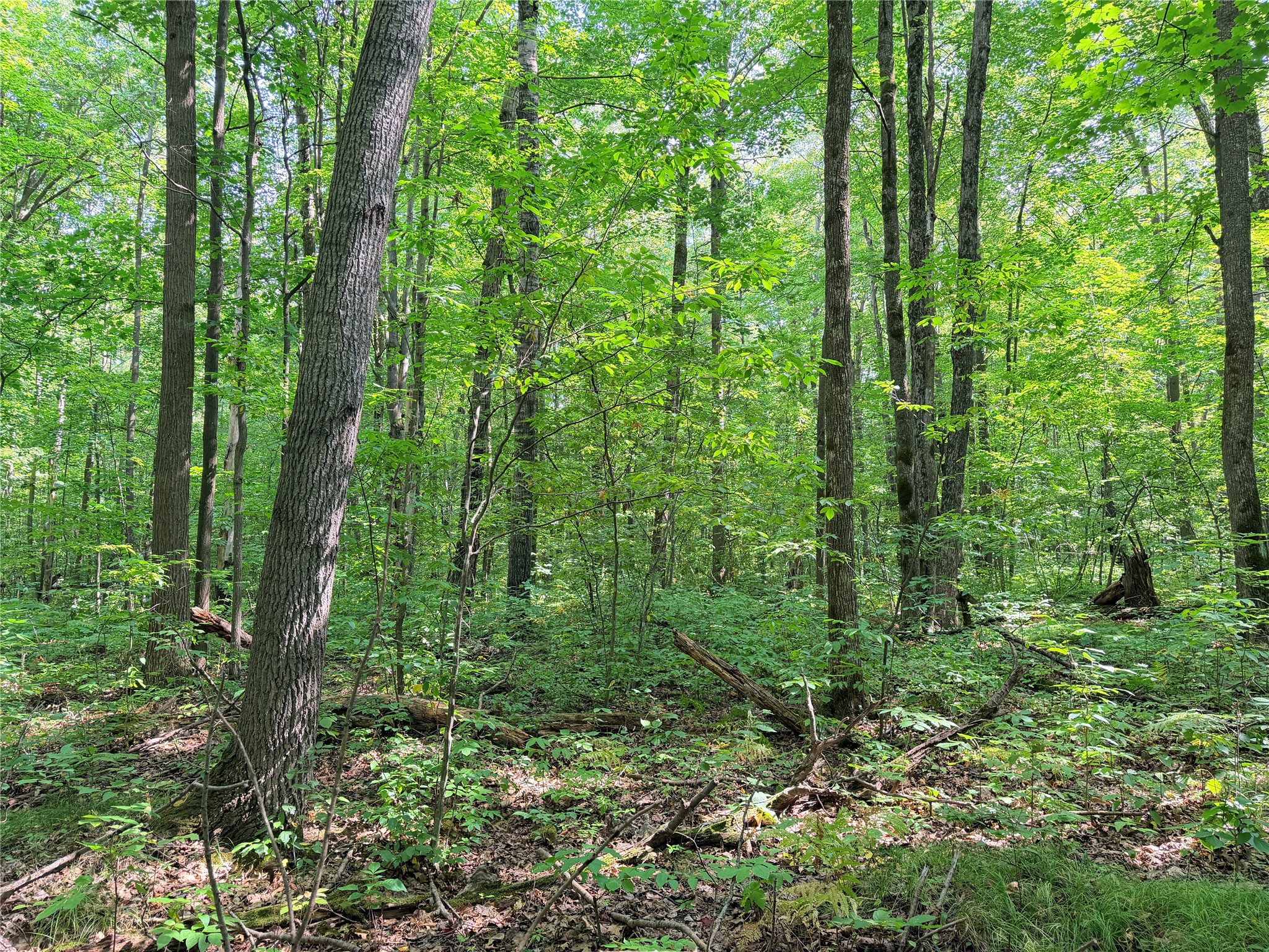 Property Photo #8
