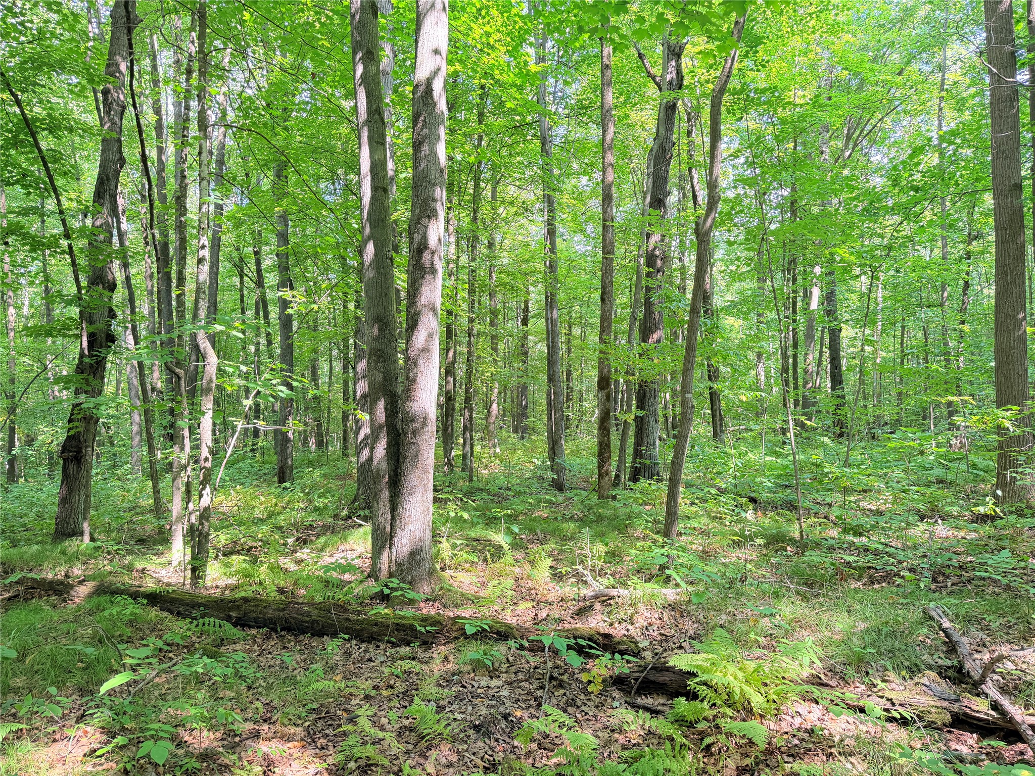 Property Photo #9