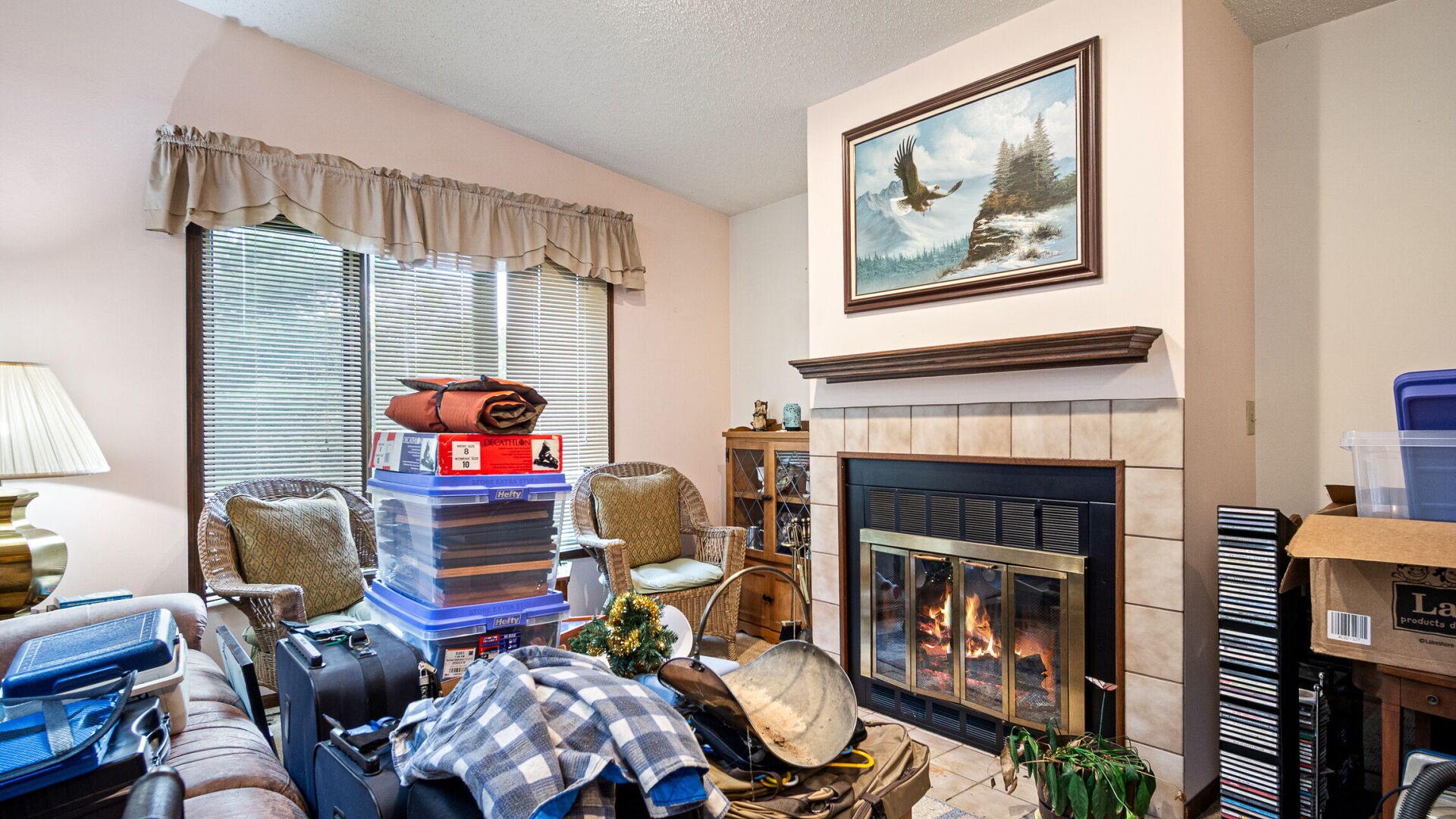 Property Photo #5