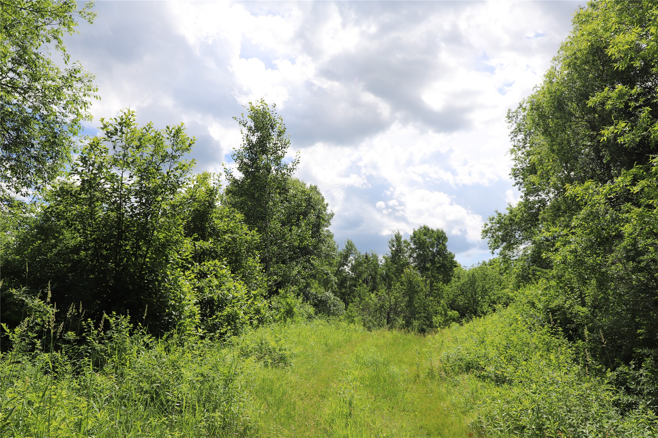 Thumbnail 26