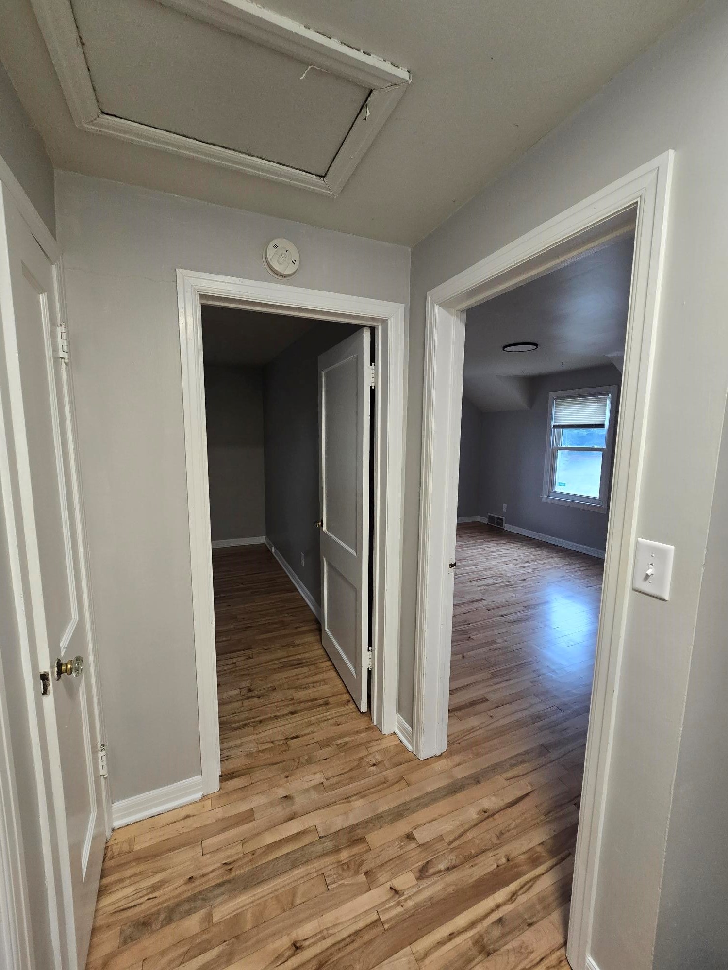Property Photo #19