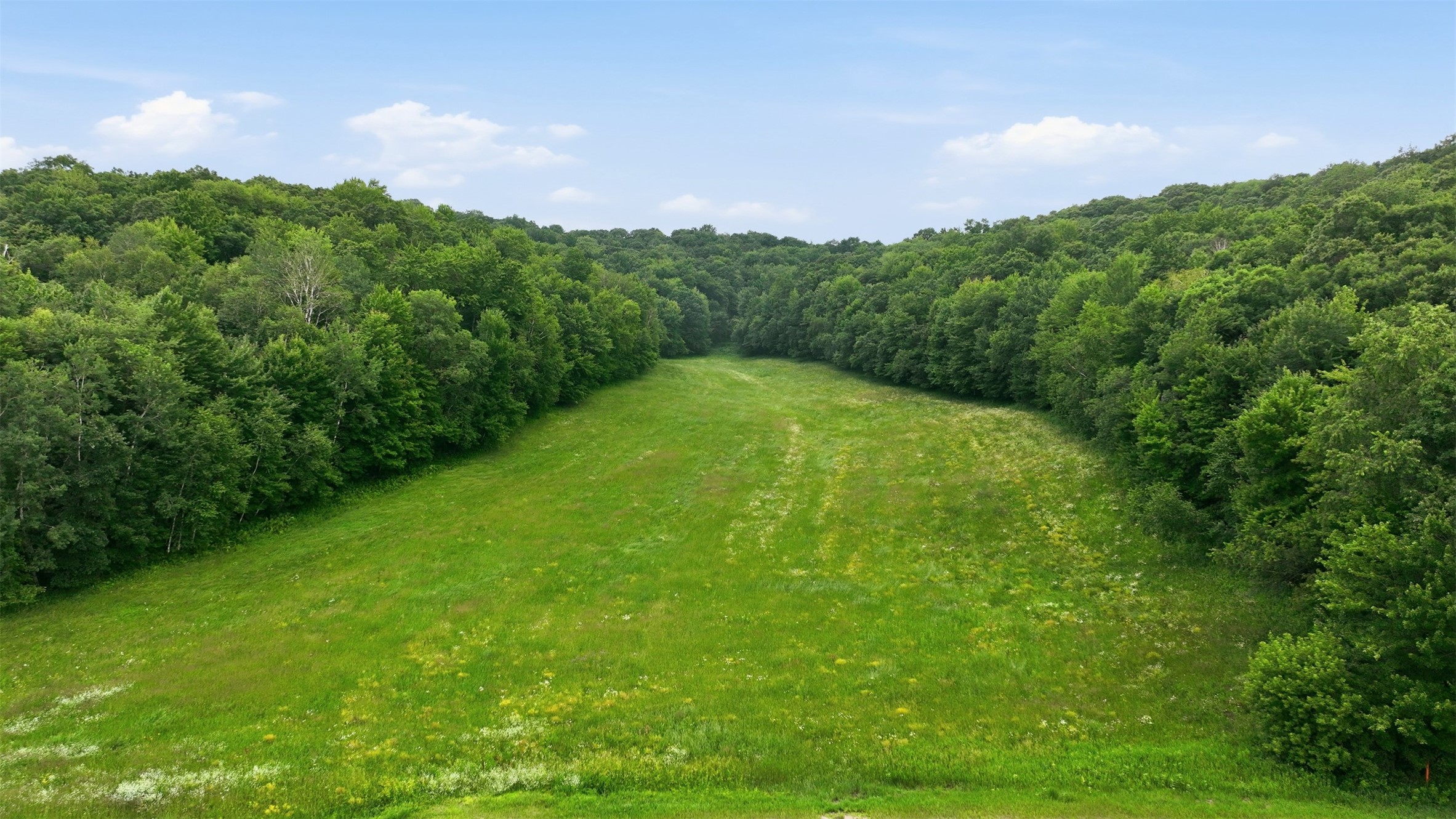 Wheeler Land Real Estate