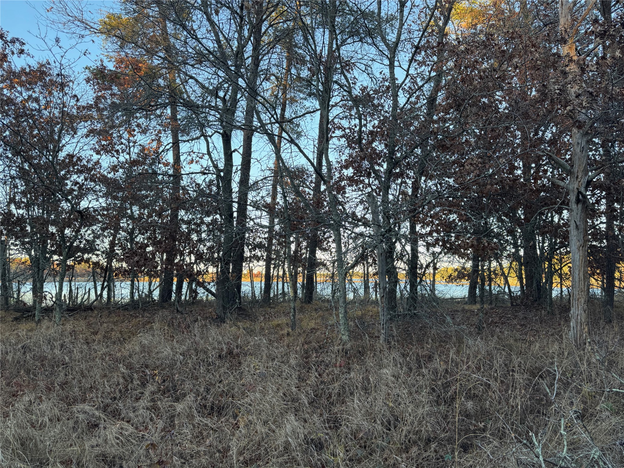 Thumbnail 27