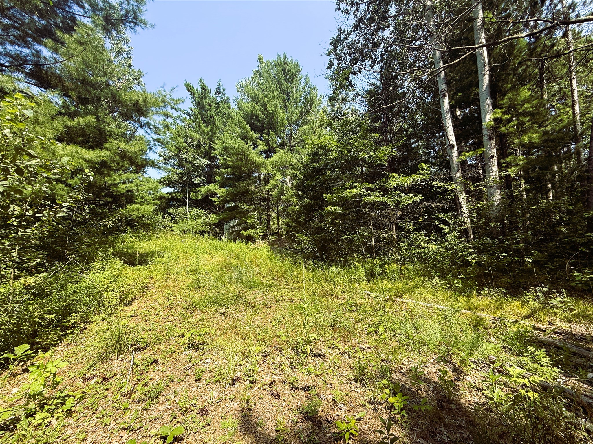 Bruce Land Real Estate