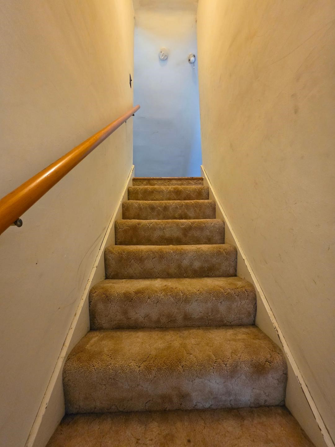 Property Photo #10