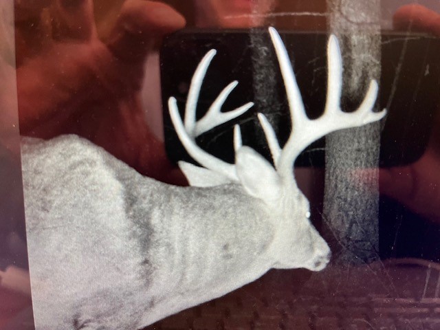 Thumbnail 27