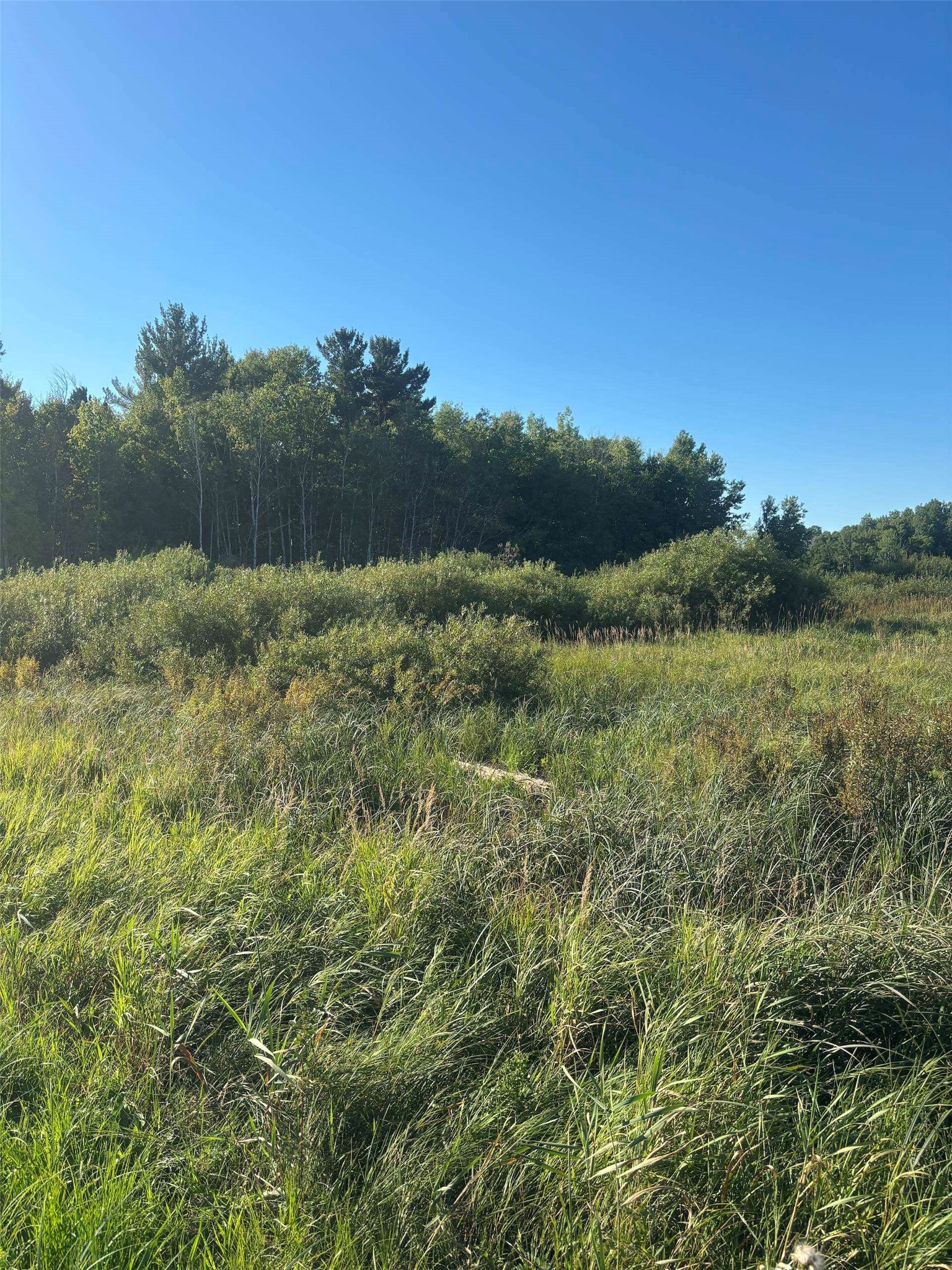 Solon Springs Land Real Estate