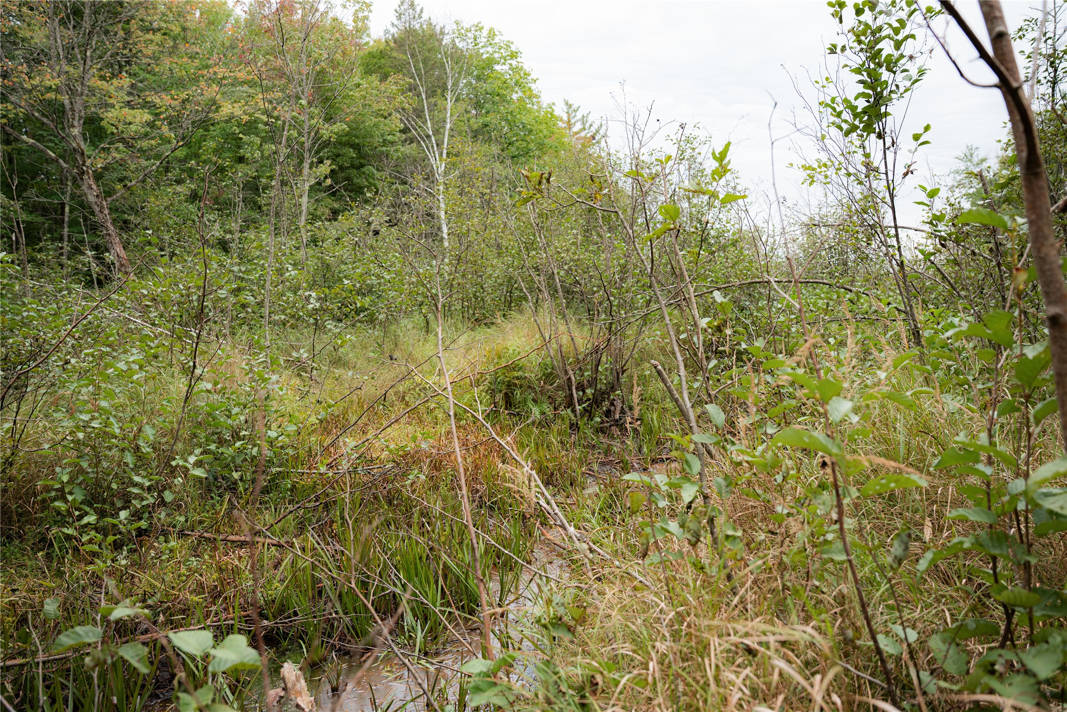 Property Photo #4