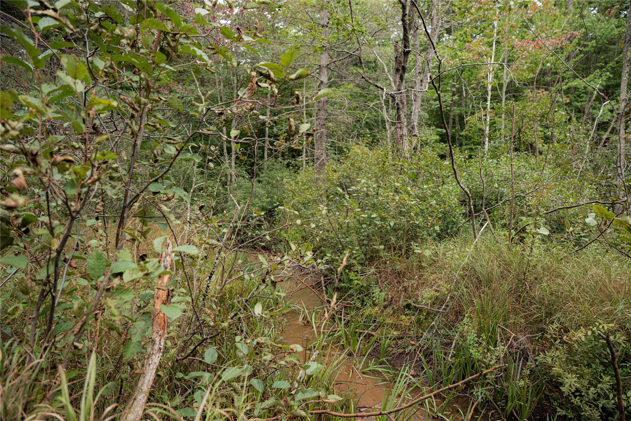 Property Photo #5