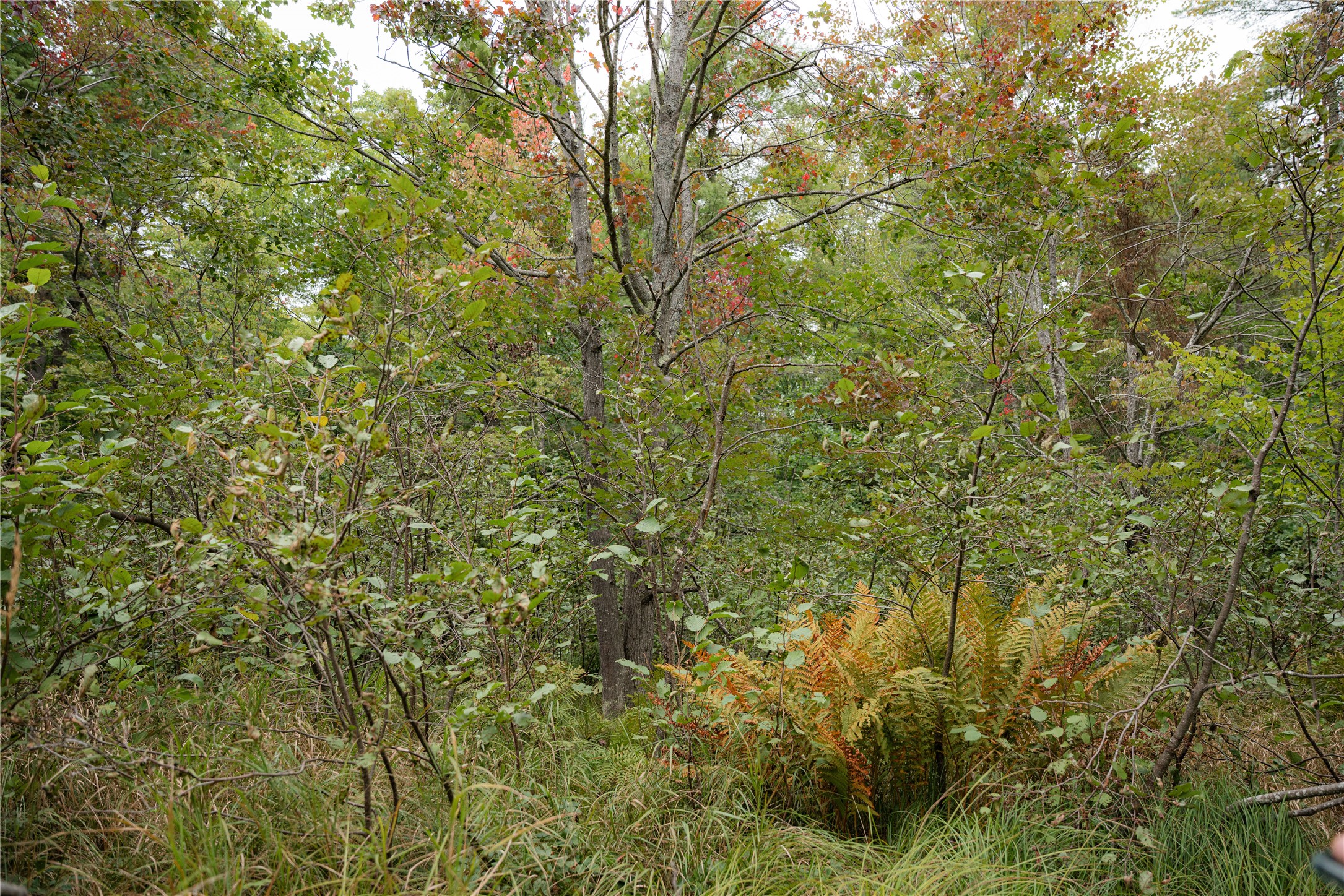 Property Photo #6