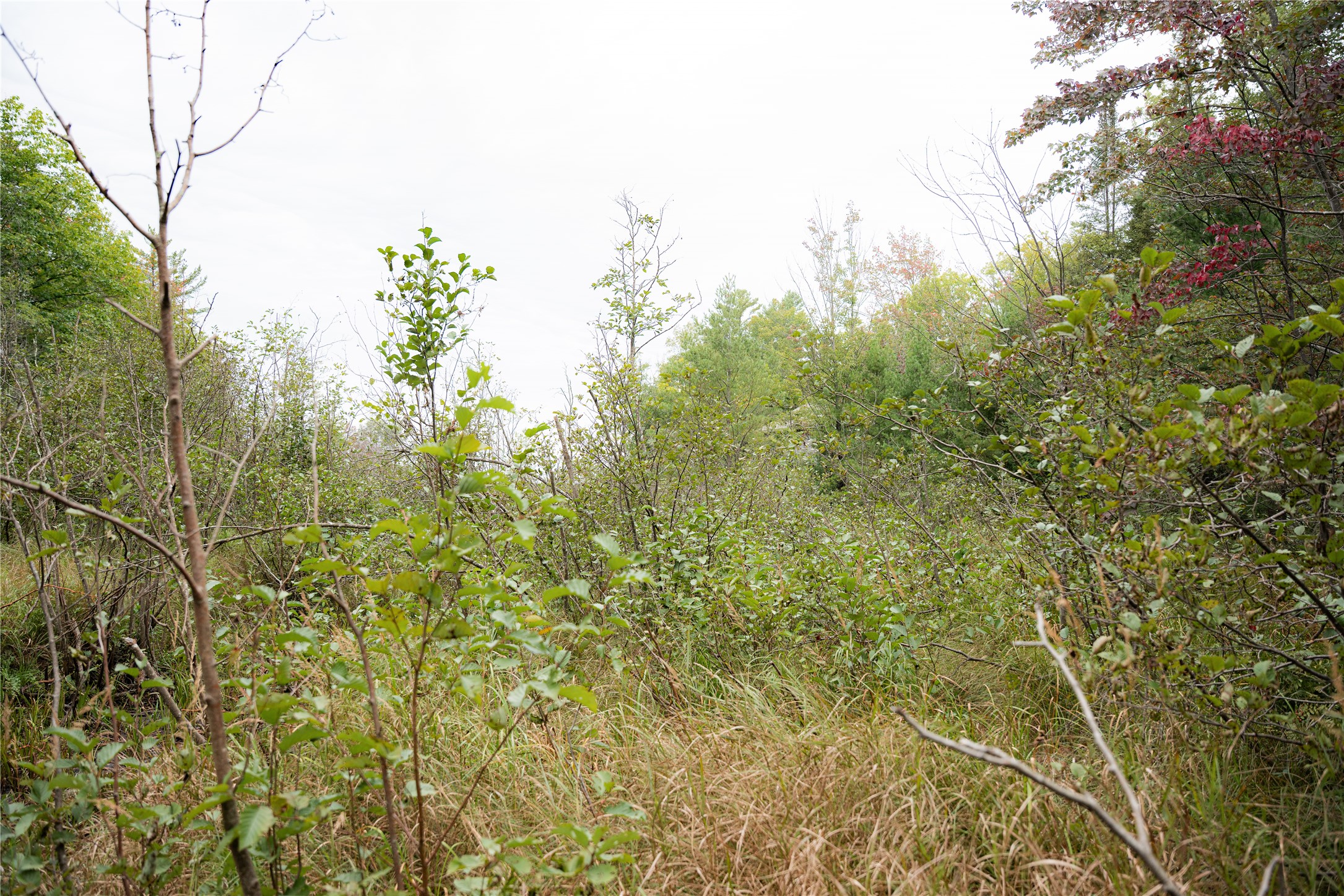 Property Photo #7