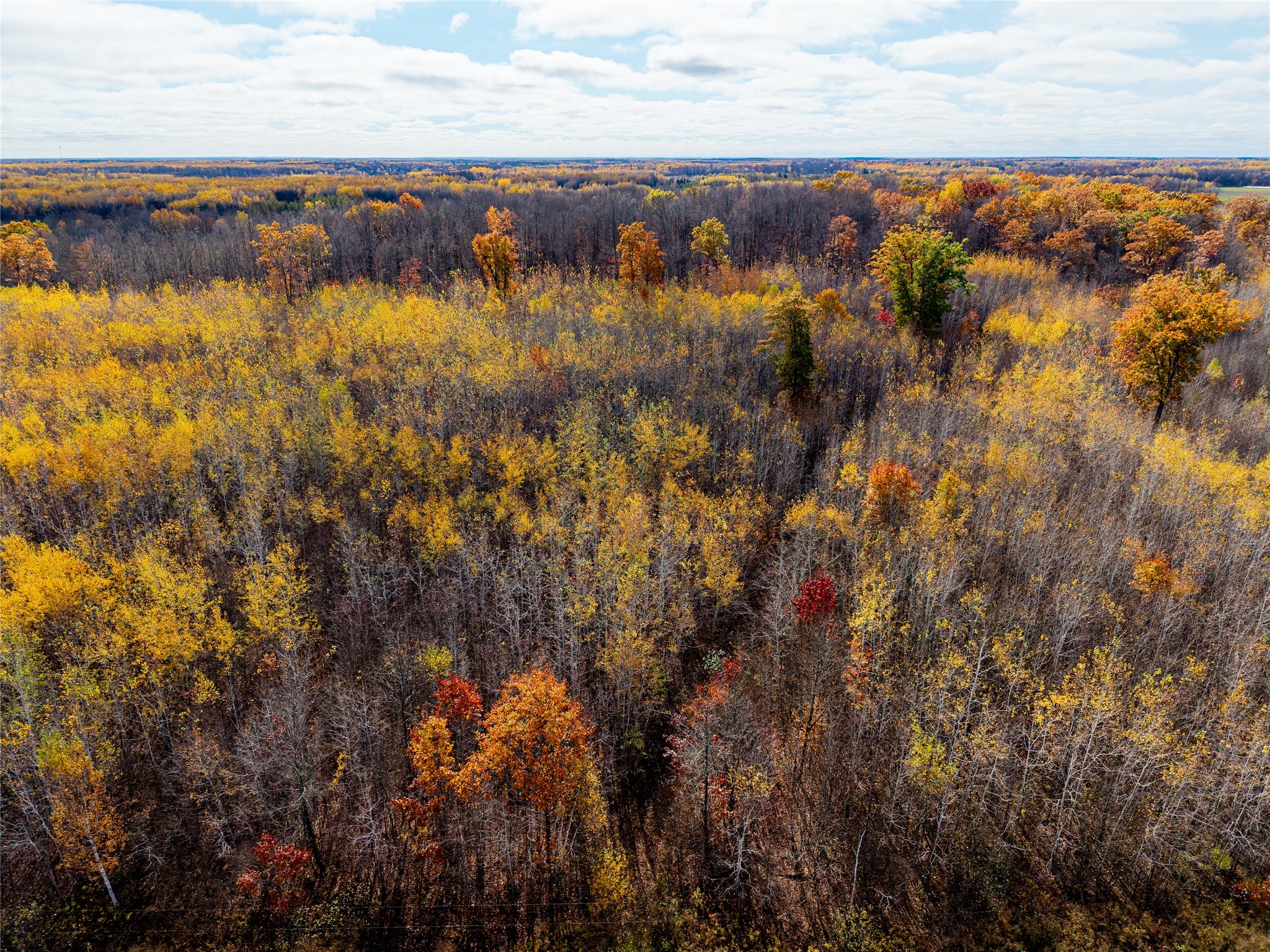 Property Photo #22
