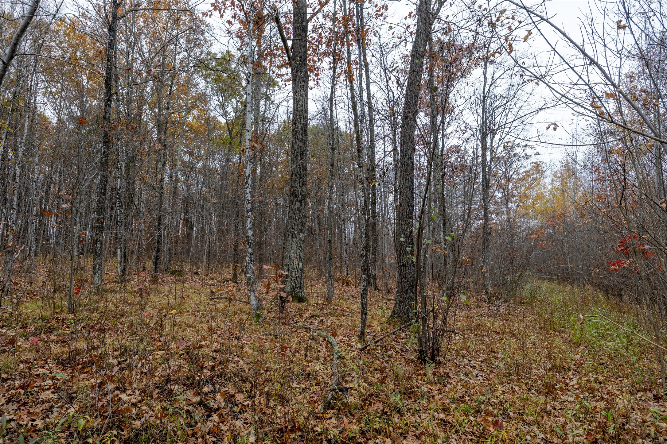 Property Photo #24