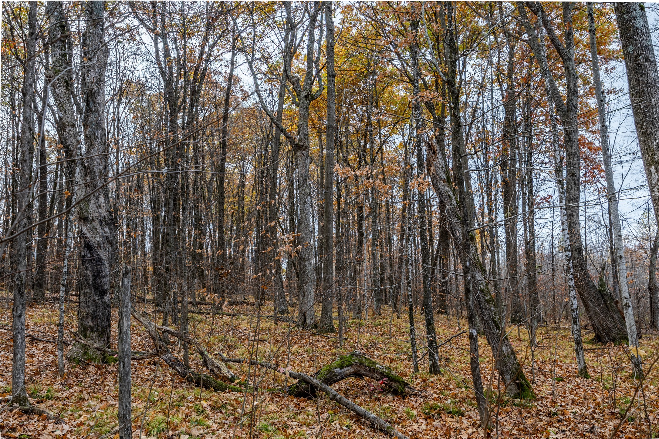 Property Photo #25