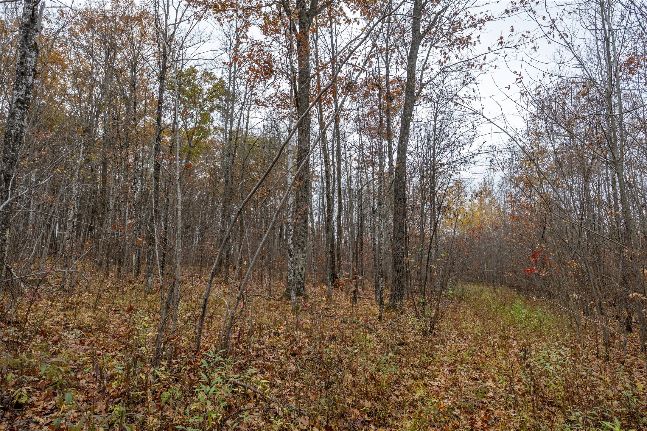 Property Photo #27
