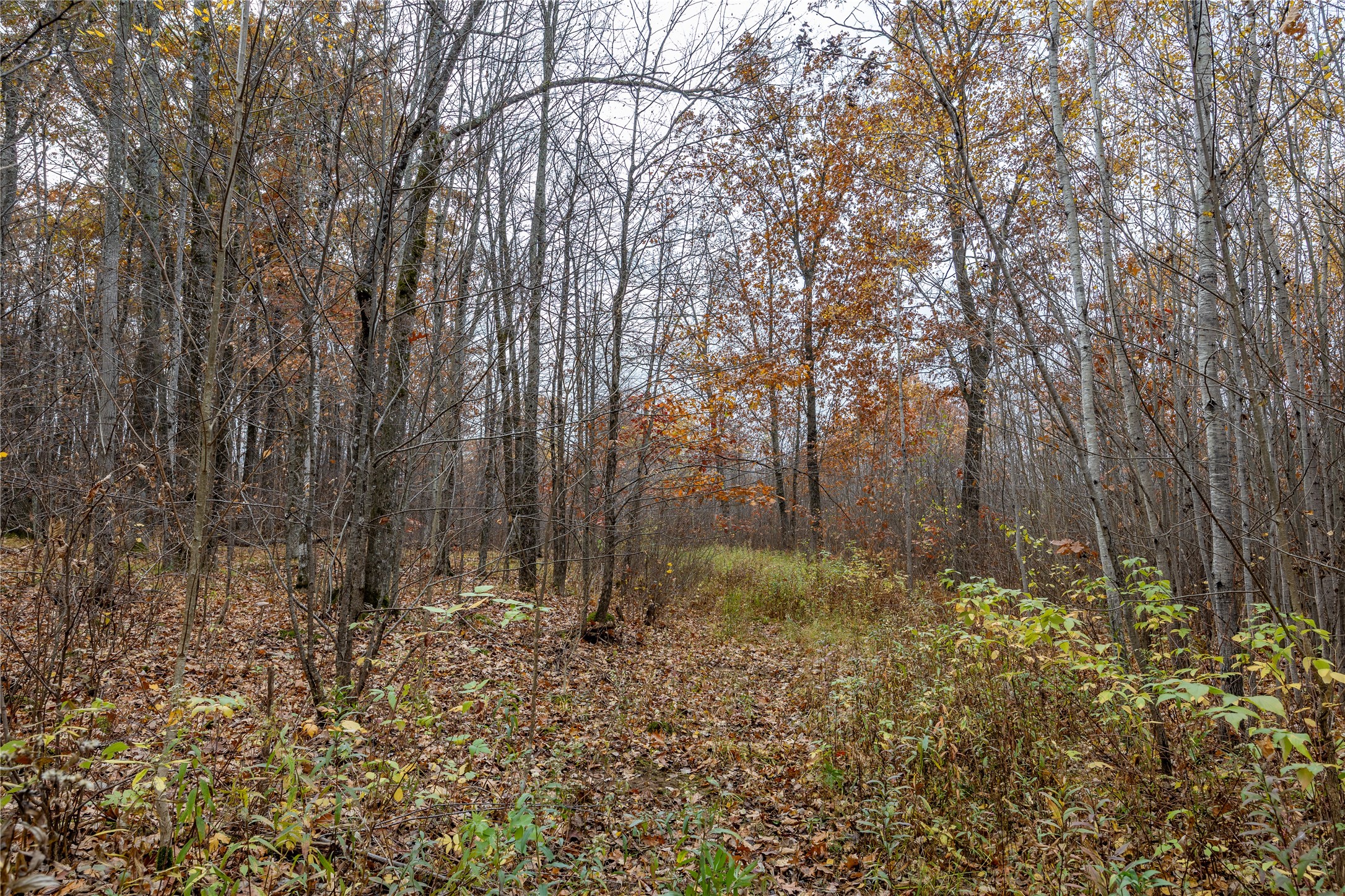 Property Photo #28