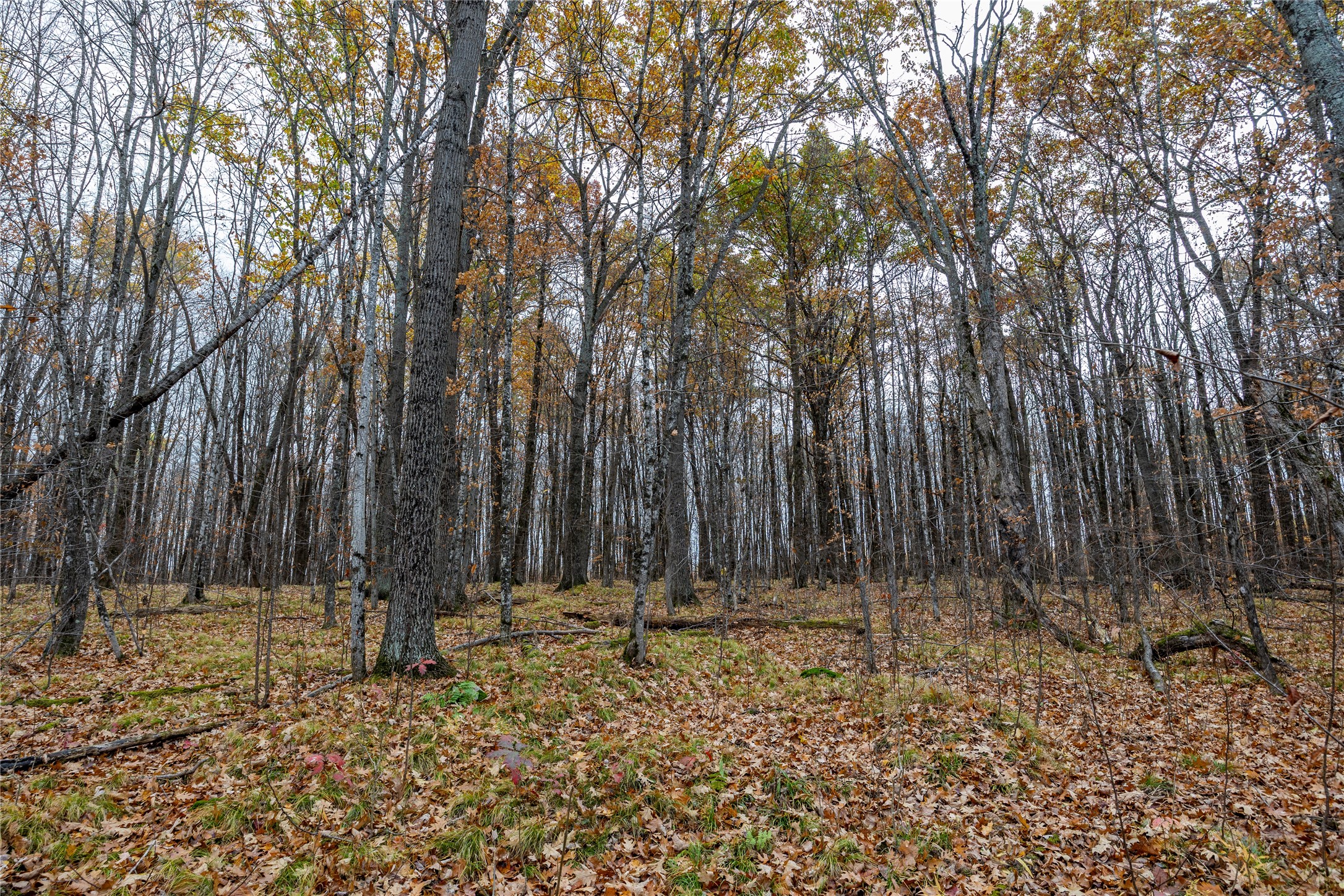 Property Photo #29