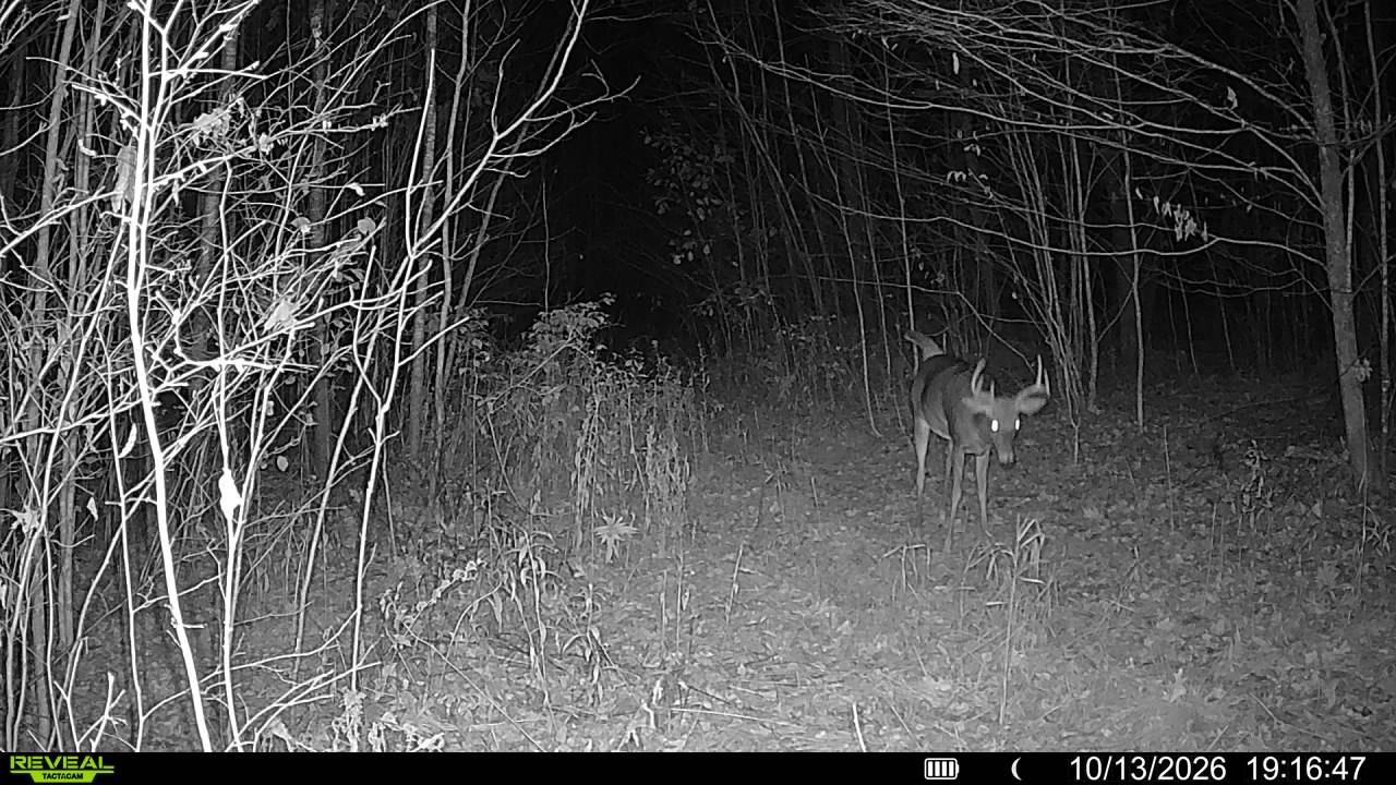 Property Photo #3