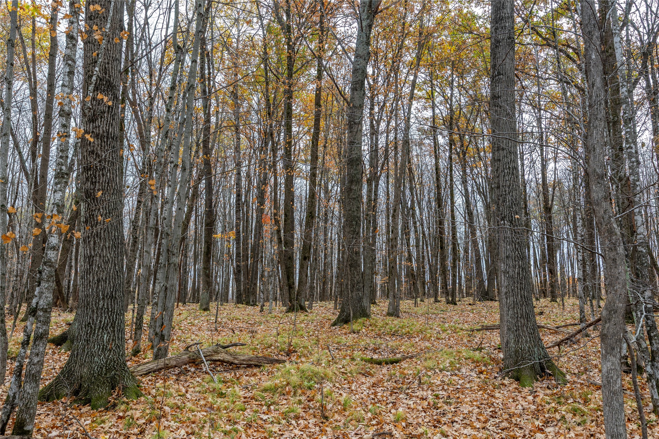 Property Photo #31